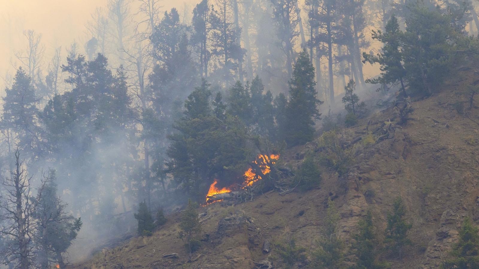 The Clearwater fire burning in the Shoshoni National Forest east of Yellowstone and near Wapiti, Wyoming.