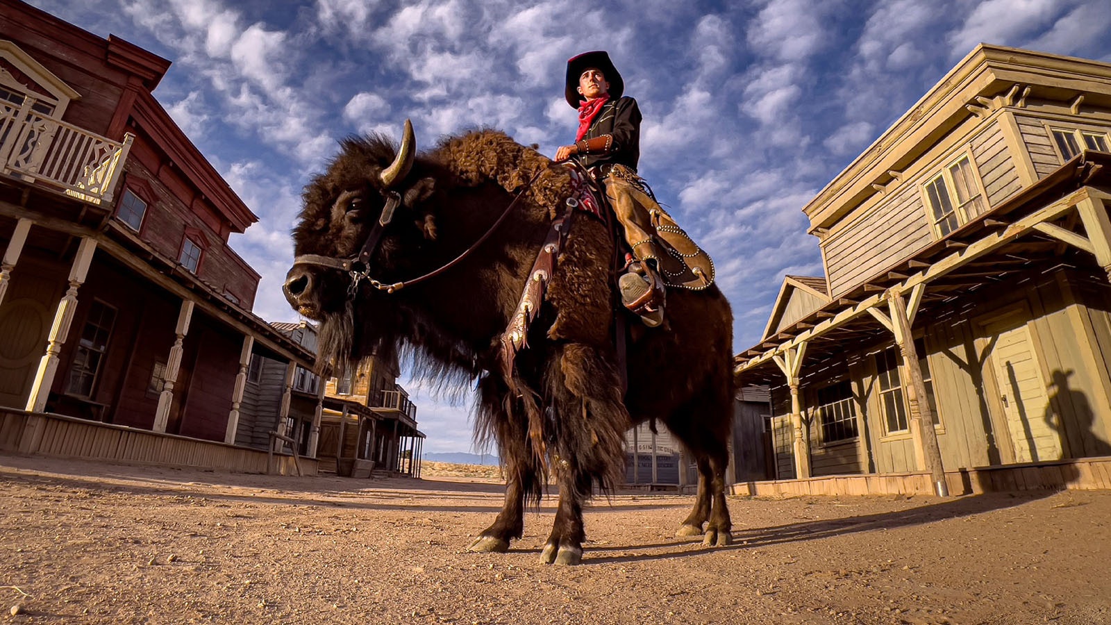 Clyde is gentle and patient with people despite his intimidating appearance. That puts the 9-year-old bison in high demand and has made him the West's biggest breakout star with credits that include the hit television show “Yellowstone."