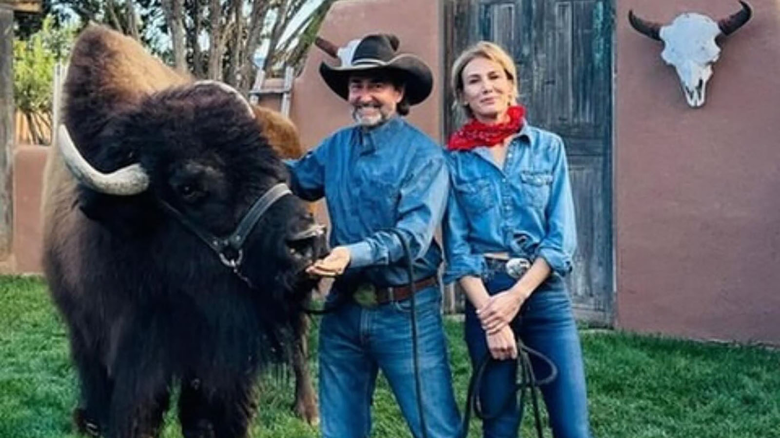 Clyde is gentle and patient with people despite his intimidating appearance. That puts the 9-year-old bison in high demand and has made him the West's biggest breakout star with credits that include the hit television show “Yellowstone." Here he is with owner Clint Mortenson and "Yellowstone" star Jen Landon.