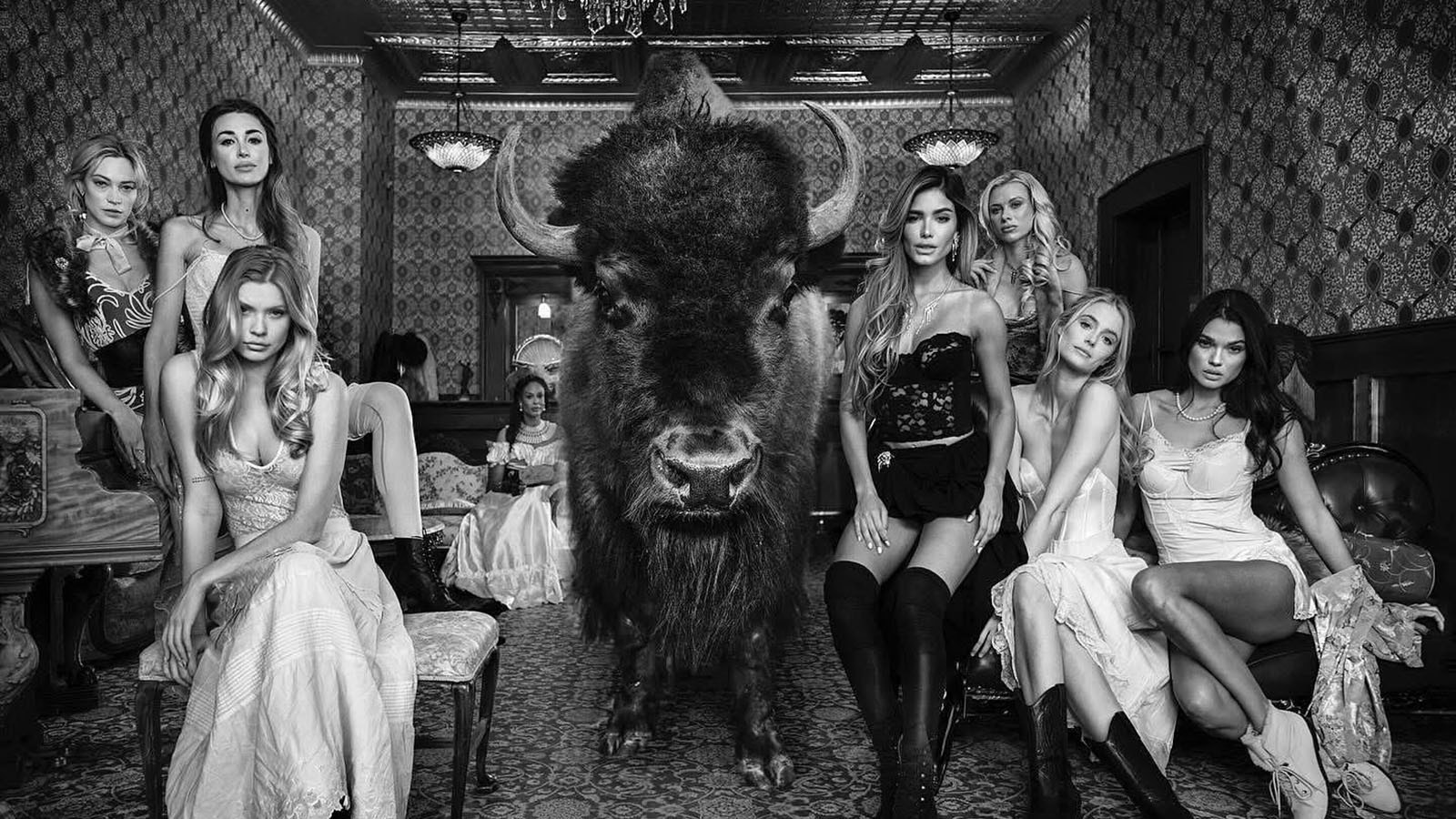 Clyde is gentle and patient with people despite his intimidating appearance. That puts the 9-year-old bison in high demand and has made him the West's biggest breakout star with credits that include the hit television show “Yellowstone." Here he is for a "Beauty and the Beast" Valentine's Day photo shoot.