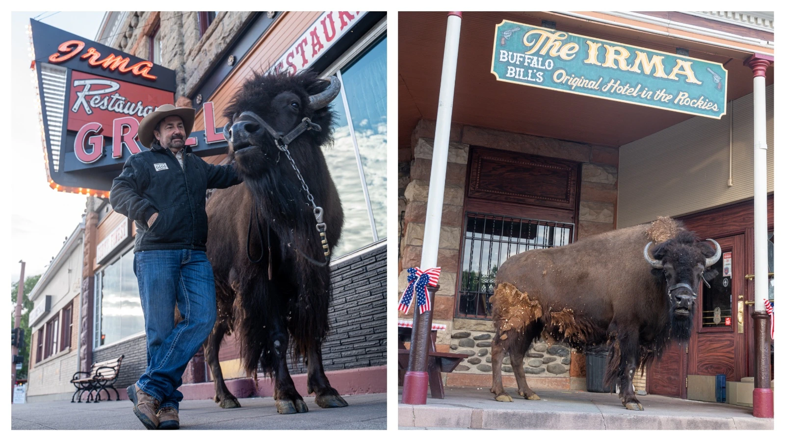 Clyde "The Buffalo" arrived in Cody for the Cody Stampede Rodeo and Parades, and his first stop Thursday was for a drink at Buffalo Bill's Bar in the legendary Wild West showman's historic Irma Hotel. "He likes bourbon and margaritas," said Clyde's owner.