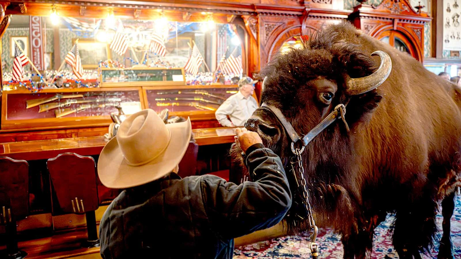 Clyde "The Buffalo" arrived in Cody for the Cody Stampede Rodeo and Parades, and his first stop Thursday was for a drink at Buffalo Bill's Bar in the legendary Wild West showman's historic Irma Hotel. "He likes bourbon and margaritas," said Clyde's owner.