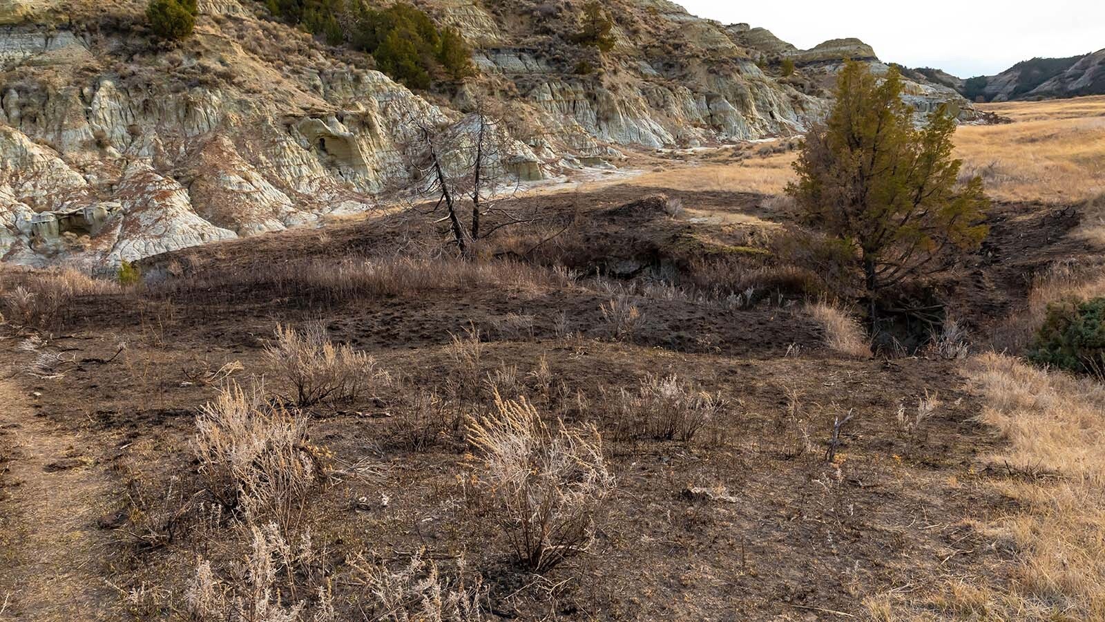 After an epic 2024 wildfire season burned vast areas across northern Wyoming and southern Montana, dozens of new burning coal seams are being revealed. In Montana, the Remington Fire burned almost 200,000 acres and left more than 100 new coal seam fires.
