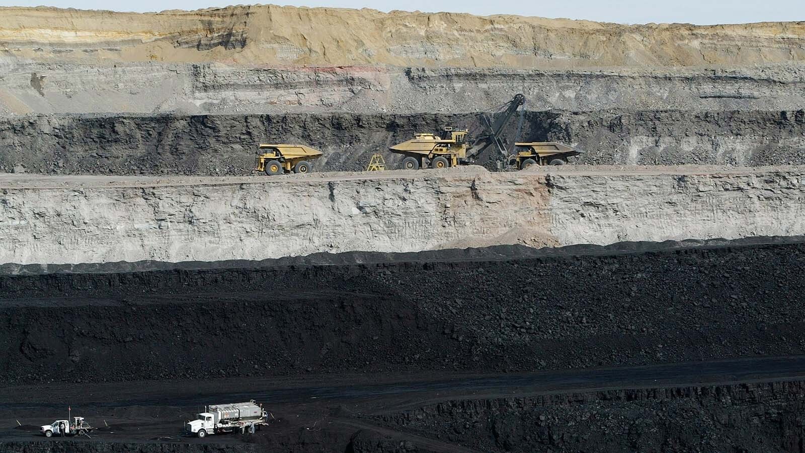 The Bureau of Land Management's first major Powder River Basin coal lease sale in a decade will give access of up to 365 million tons of coal in northeast Wyoming. Industry officials say it's past time, while environmental advocates say they’re worried.