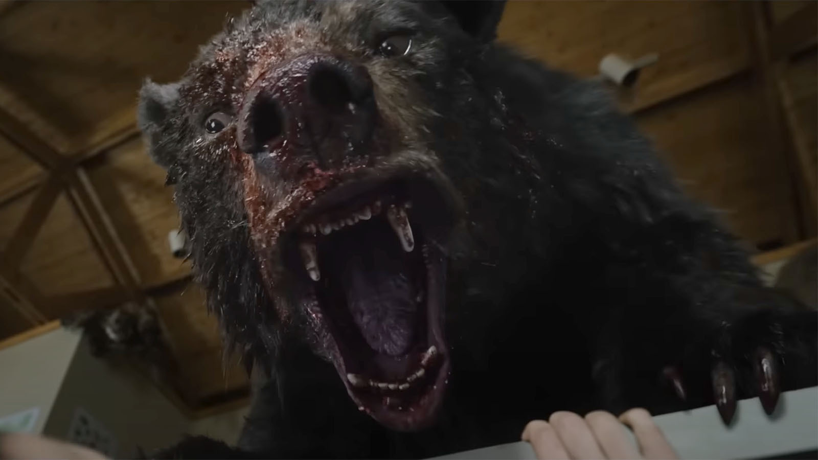 Cocaine bear 12 1 22