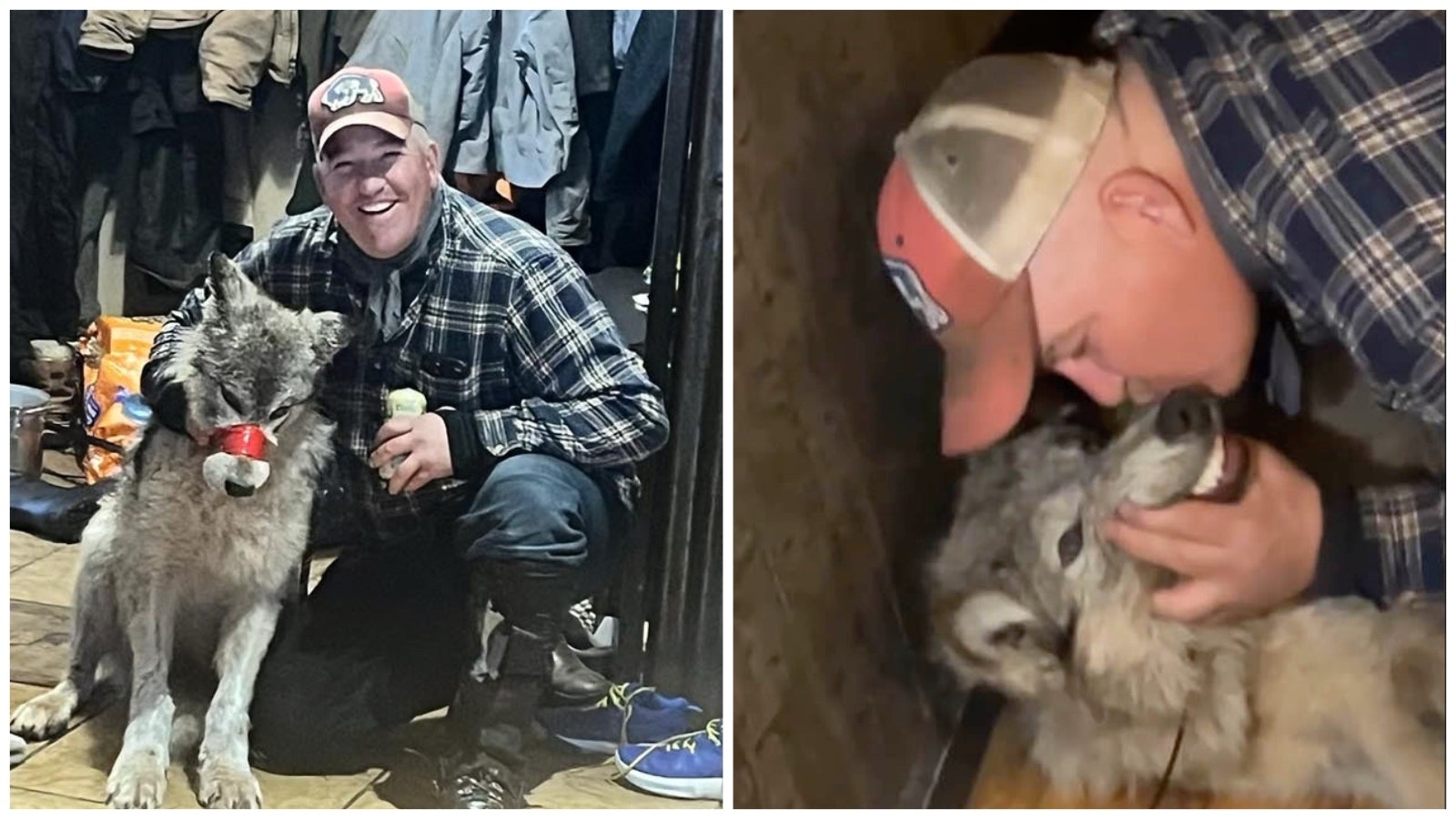 Cody Roberts of Daniel, Wyoming, poses and teases a young wolf he's accused of running down with a snowmobile and abusing before killing it in early 2024.