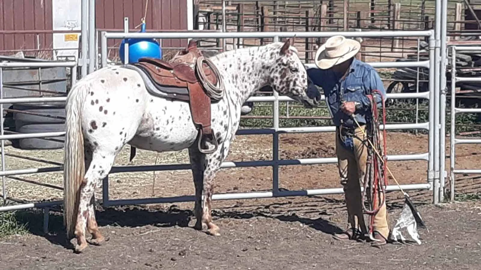 Cody blacksmith NJ Pawley with his horse, Starlee.