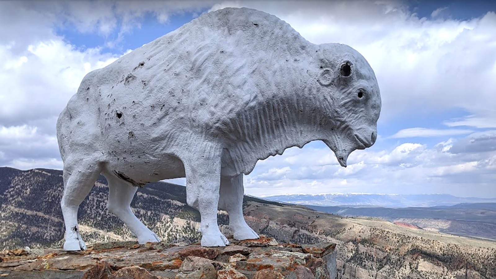 The Buffalo on Cedar Mountain overlooking Cody in honor of Buffalo Bill Cody has been shot up and vandalized over the years.