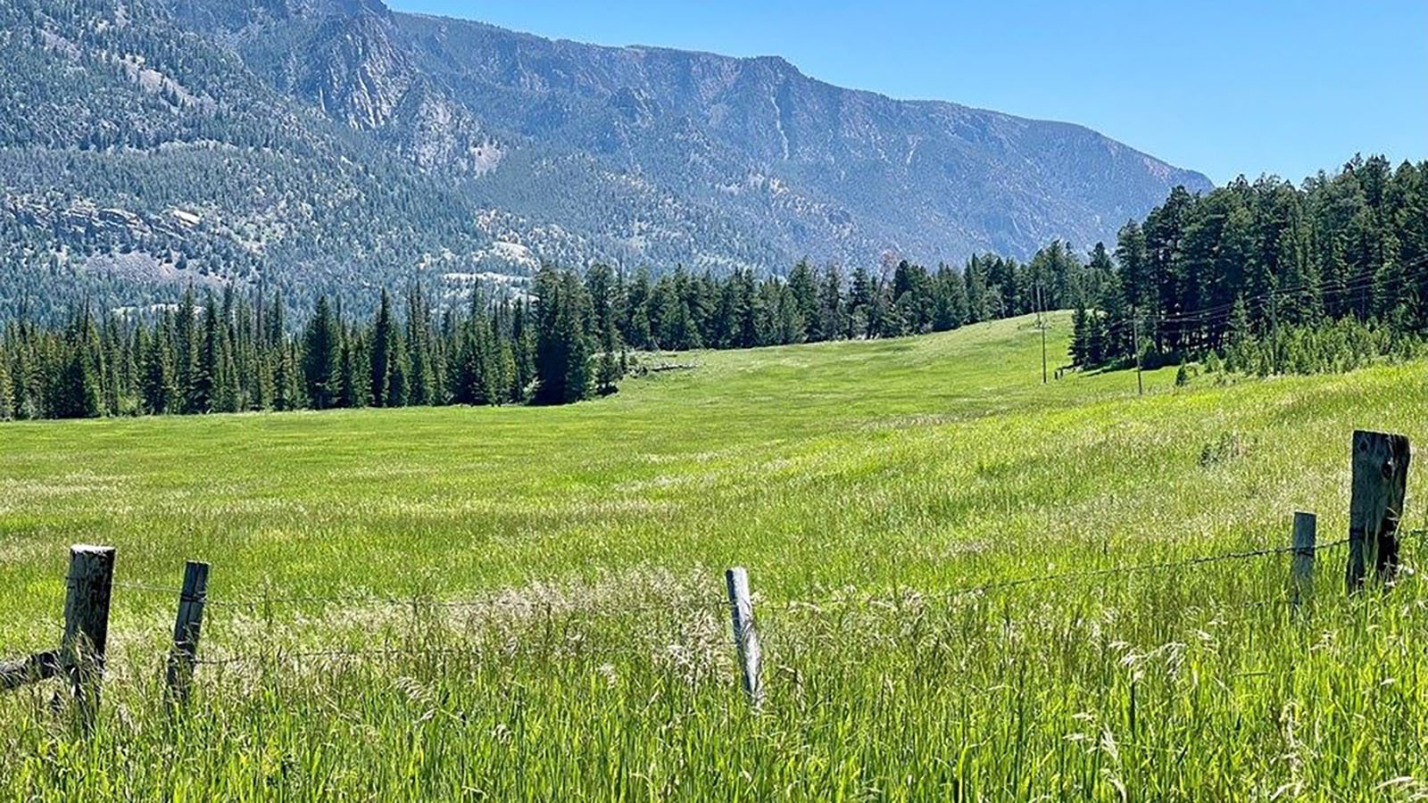 Richard Realty has listed a 63-acre property an hour’s drive from Cody along the Chief Joseph Scenic Highway for $13.5 million.