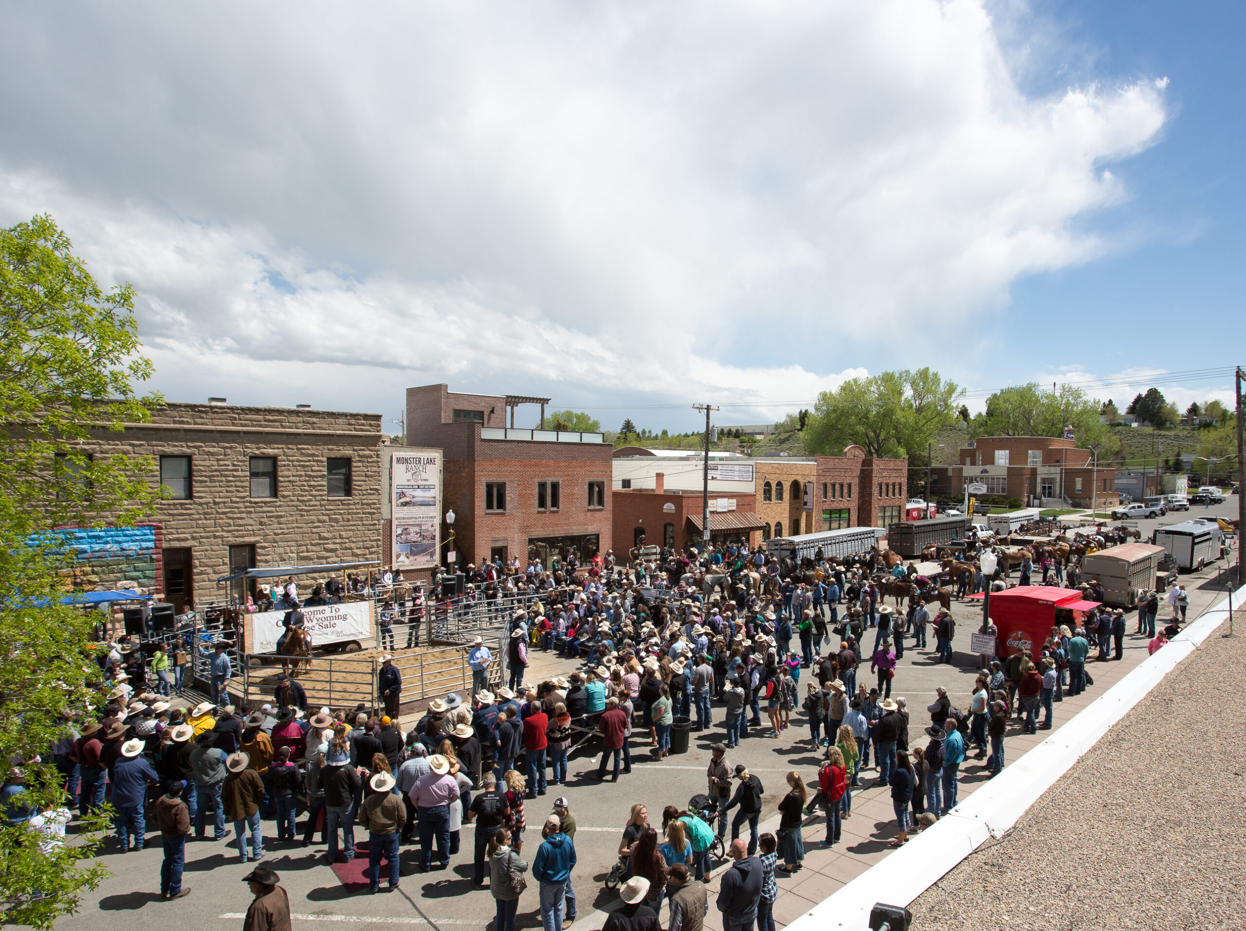Cody Horse Sale scaled