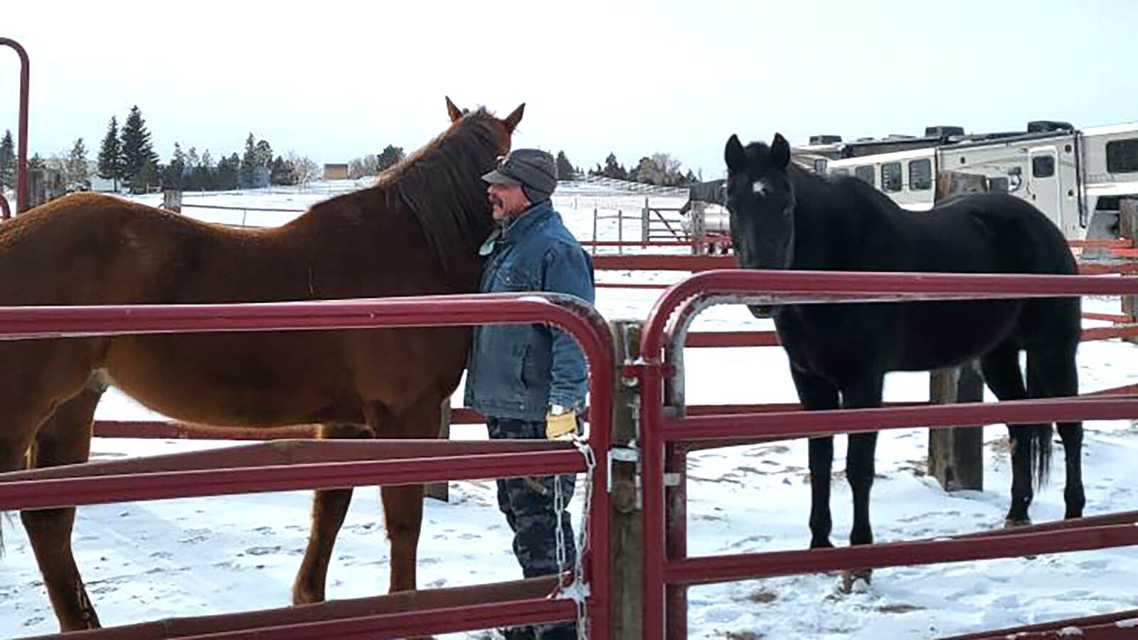 Tom Houghton tends to horses in subzero temperatures.