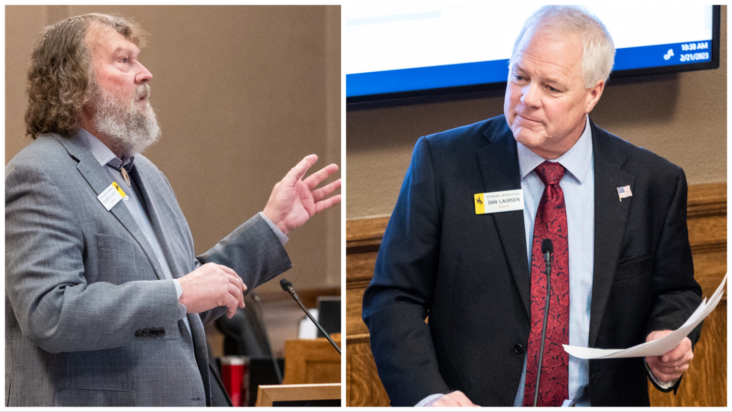 Collage Maker 03 Mar 2023 03 00 PM 7175