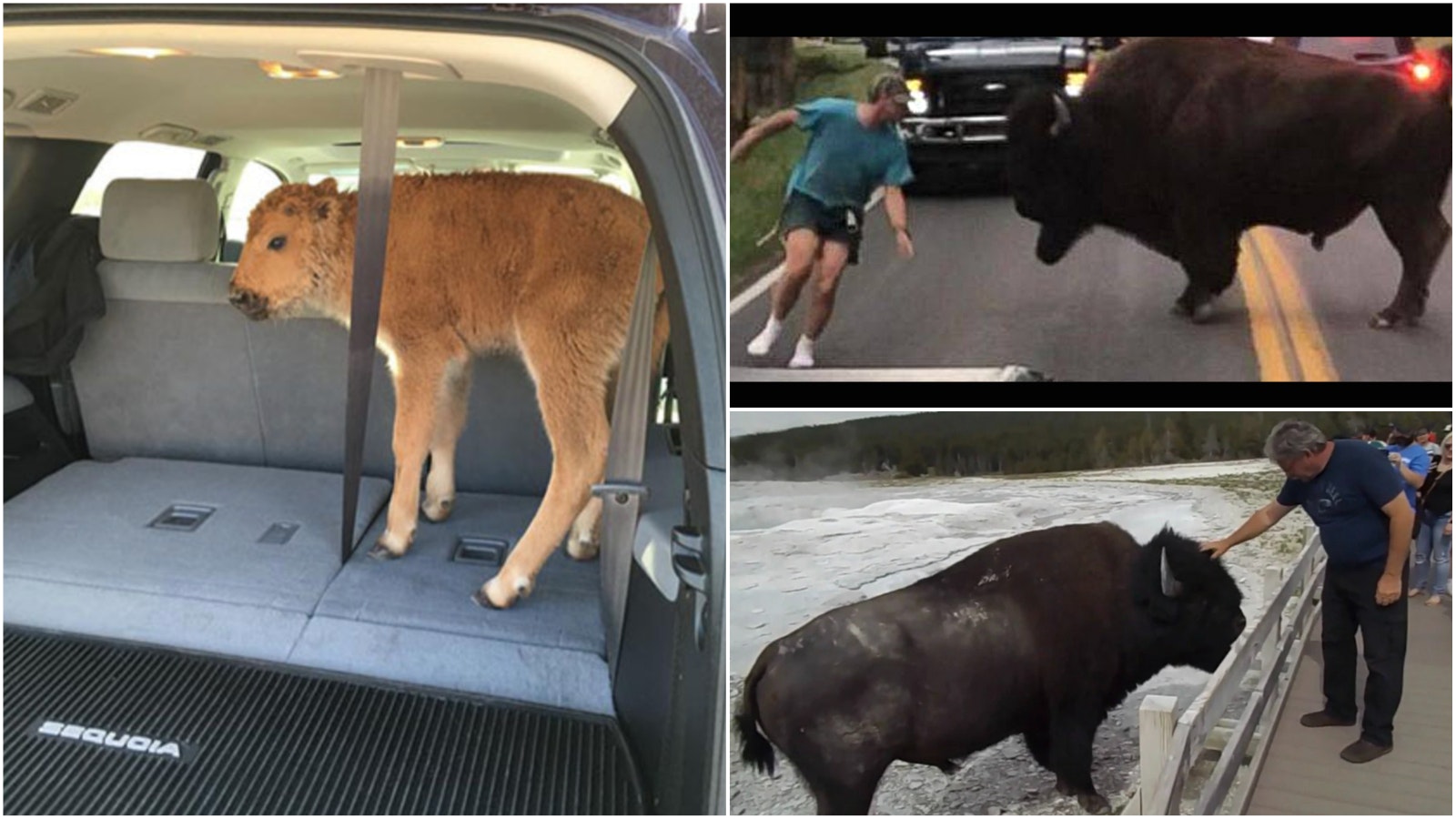 Collage Maker 04 Aug 2022 01 02 PM