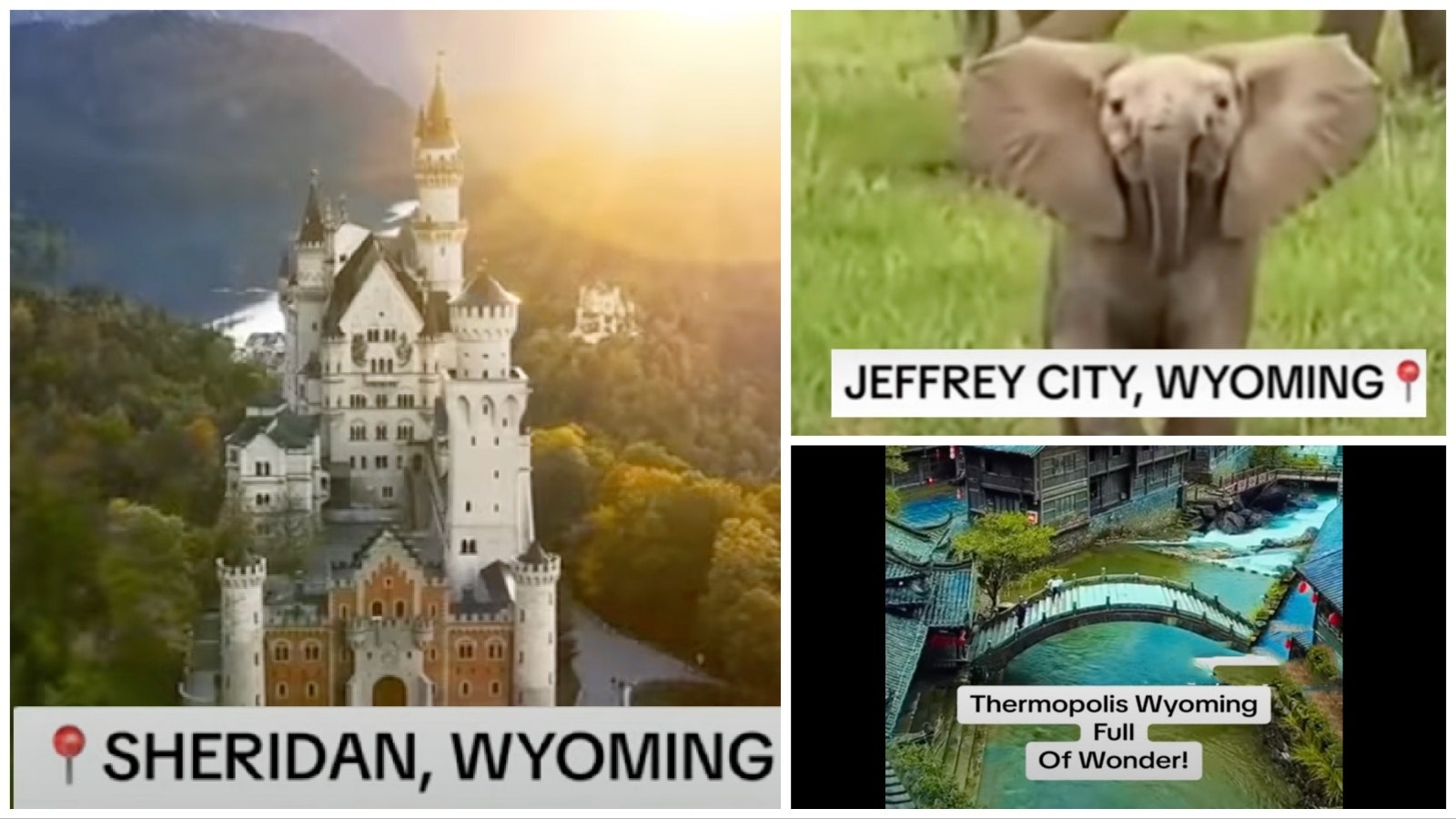 Collage Maker 08 Jul 2023 04 54 PM 1120