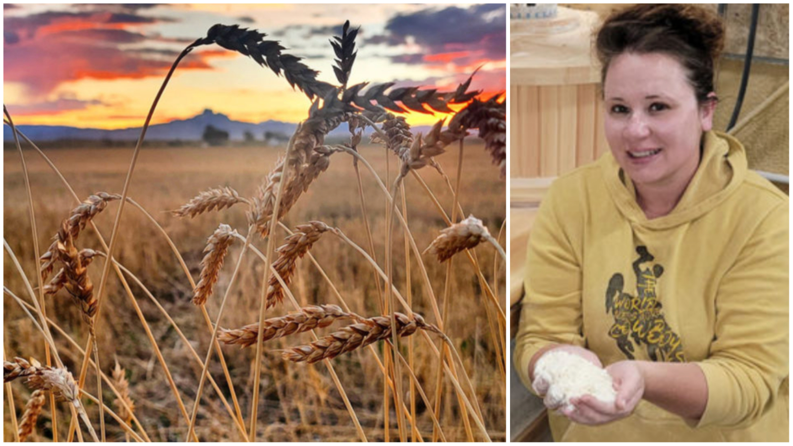 Collage Maker 09 Jan 2023 09 35 PM