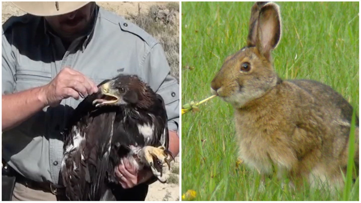 Collage Maker 12 Sep 2022 02 36 PM