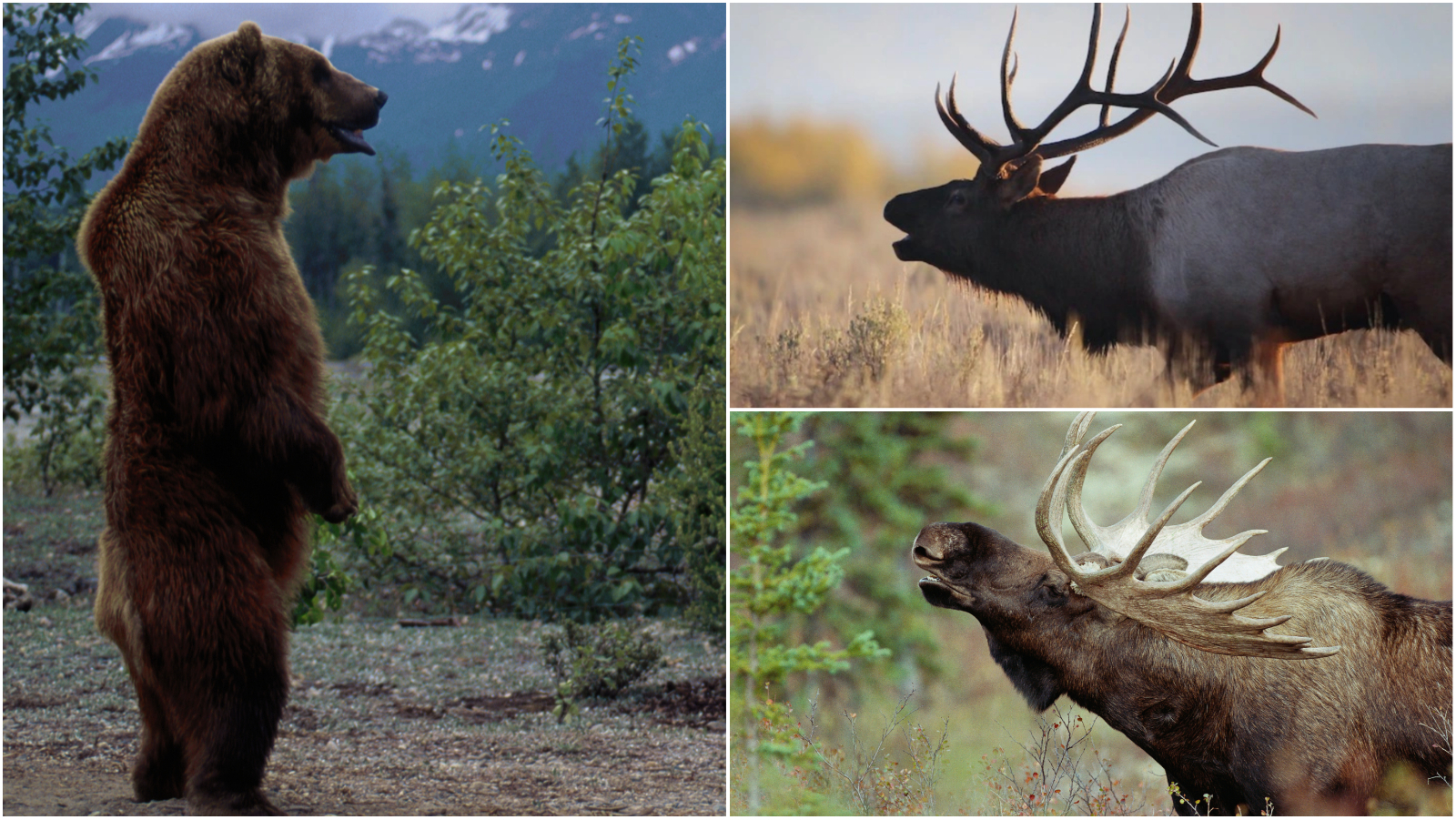 Collage Maker 13 Jul 2022 05 12 PM