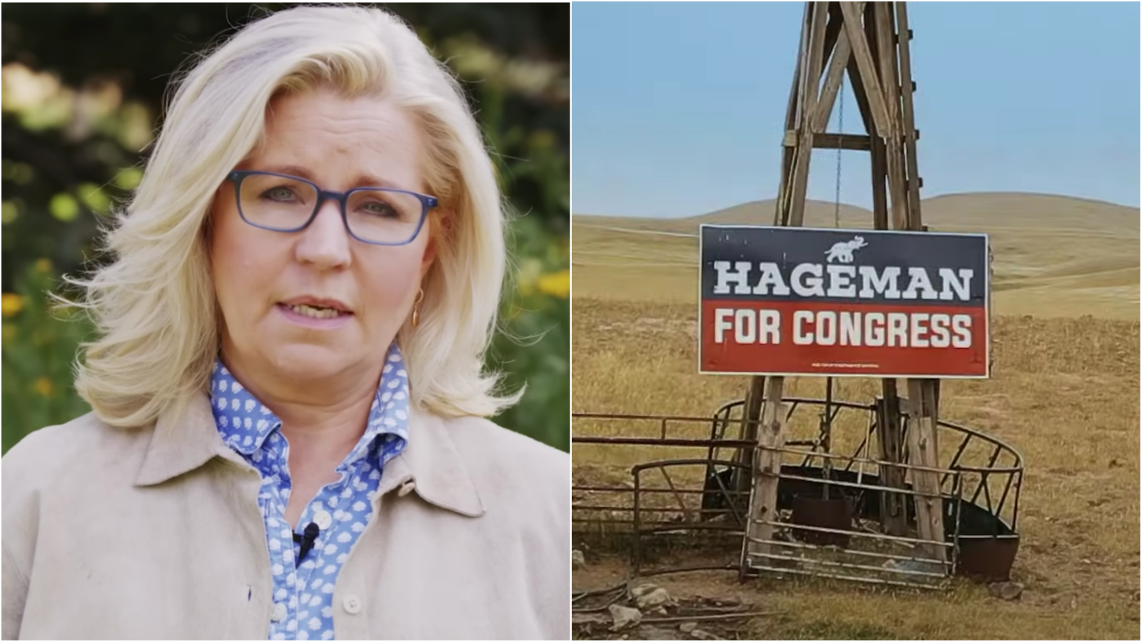 Collage Maker 15 Aug 2022 05 31 PM