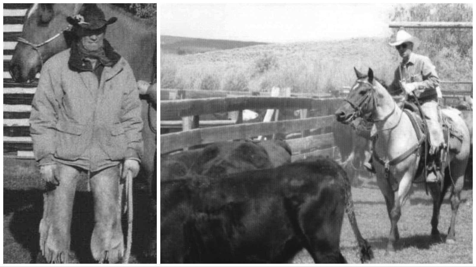 Collage Maker 15 Jul 2023 09 16 PM 4527