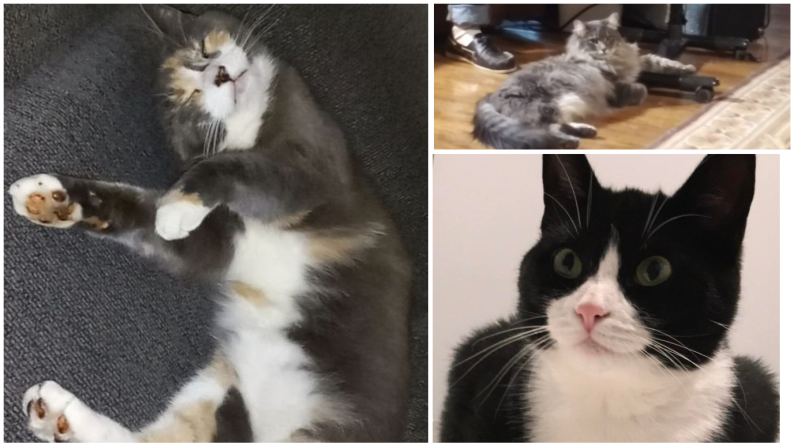 Collage Maker 20 Sep 2022 03 22 PM