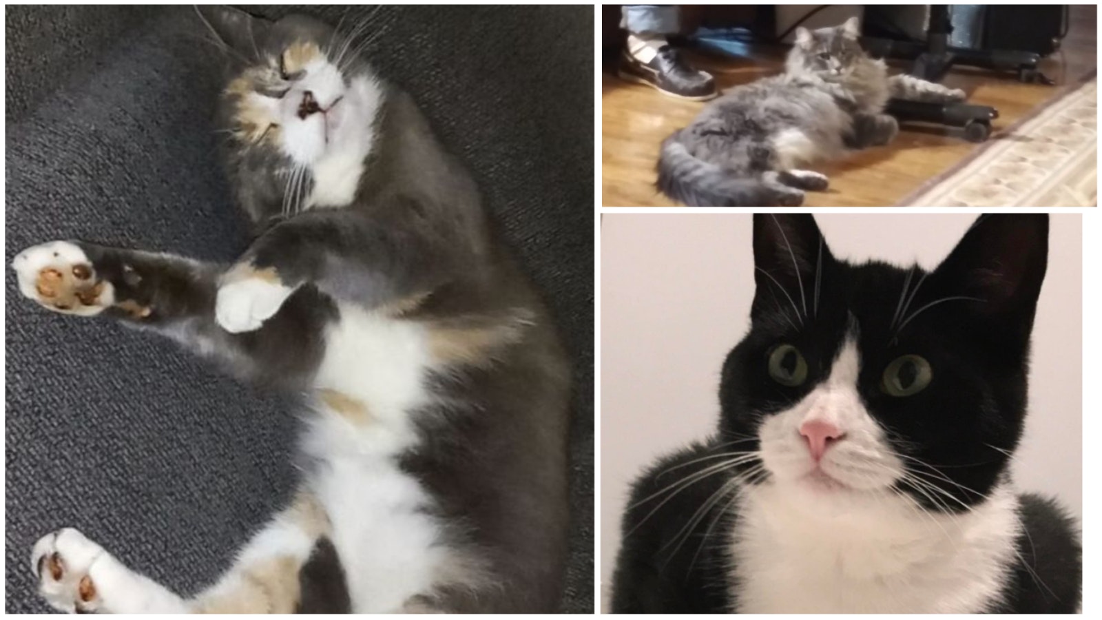 Collage Maker 20 Sep 2022 03 22 PM