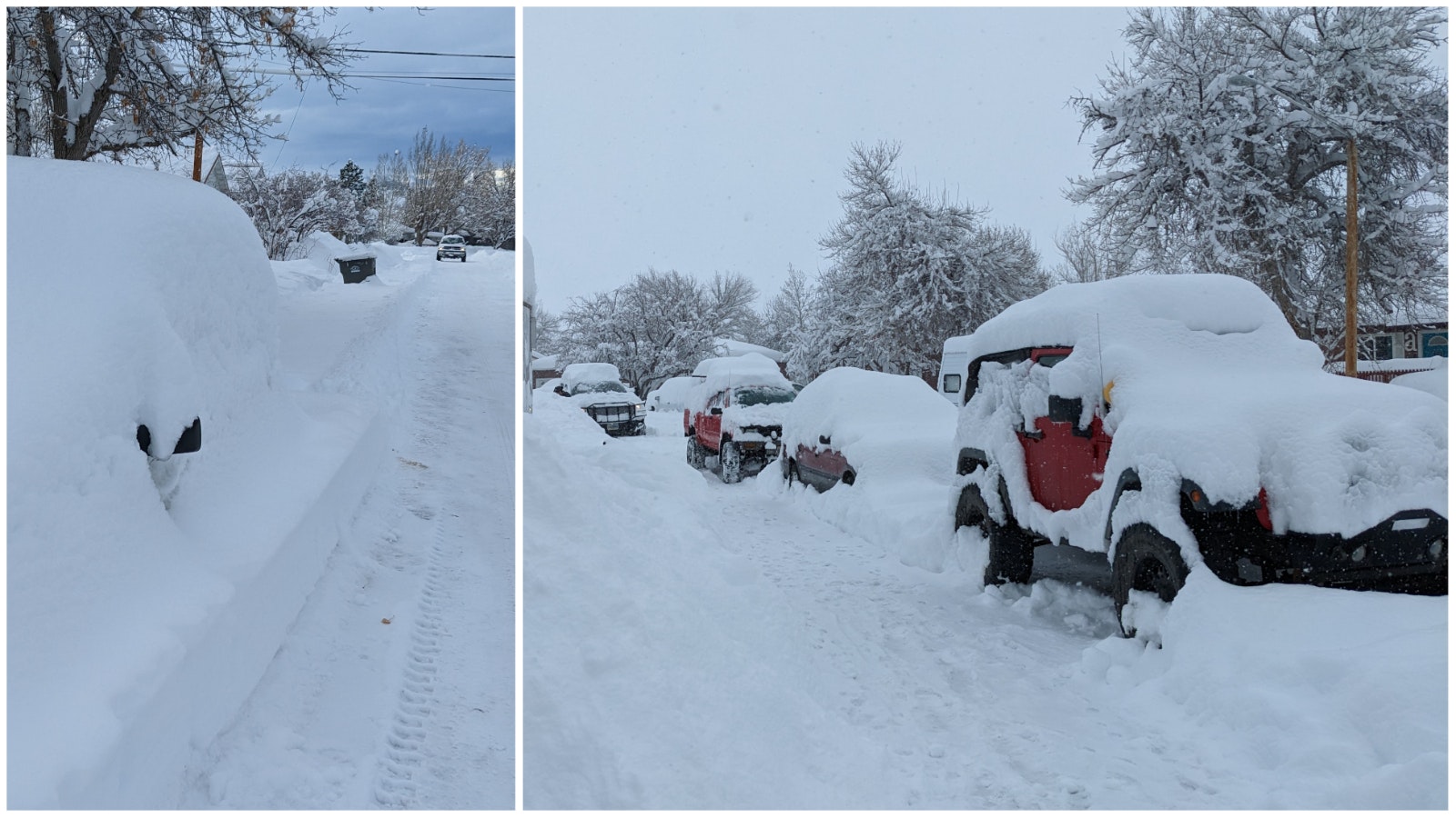 Collage Maker 23 Jan 2023 05 02 PM