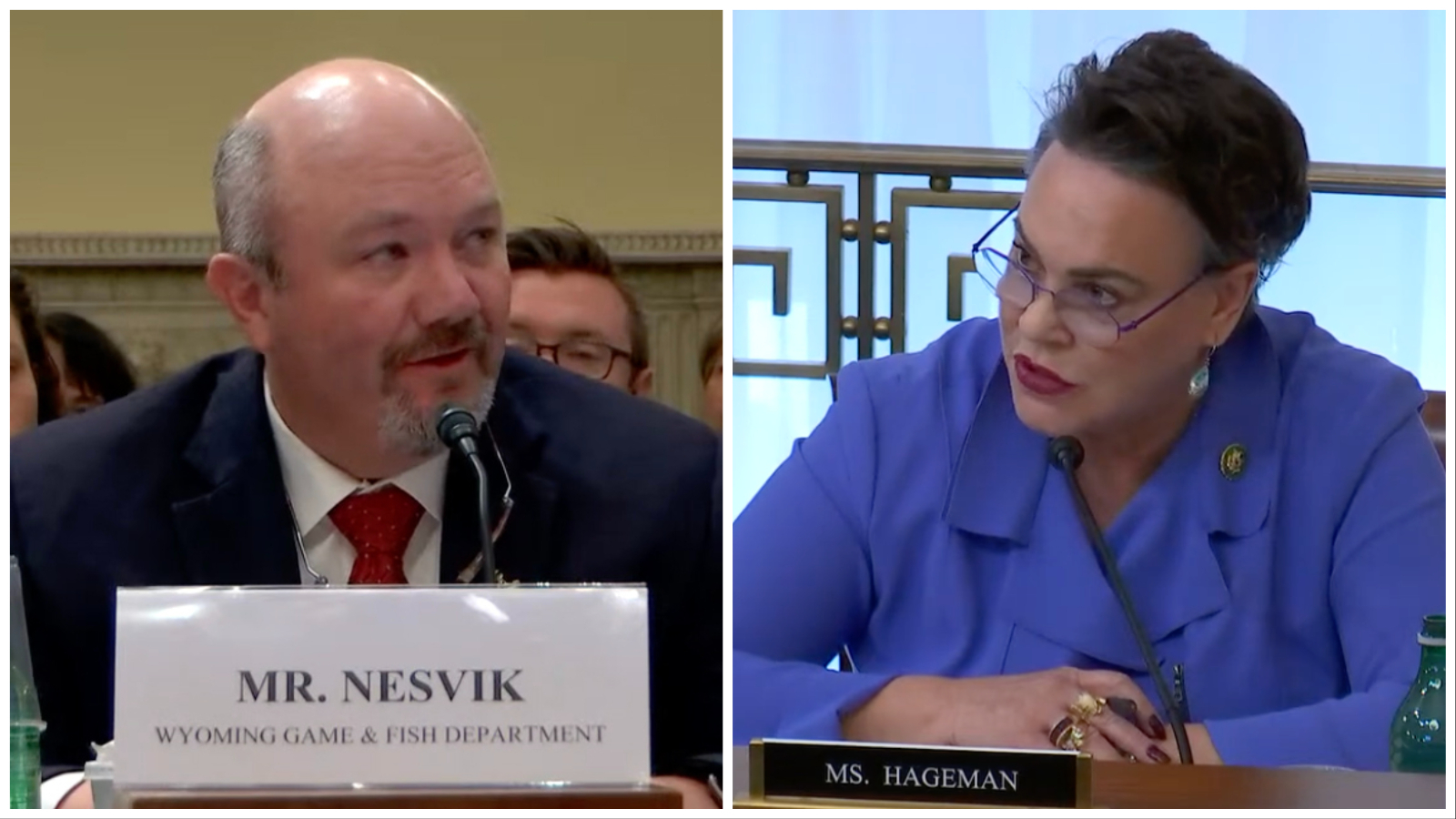 Collage Maker 24 Mar 2023 06 34 PM 4246