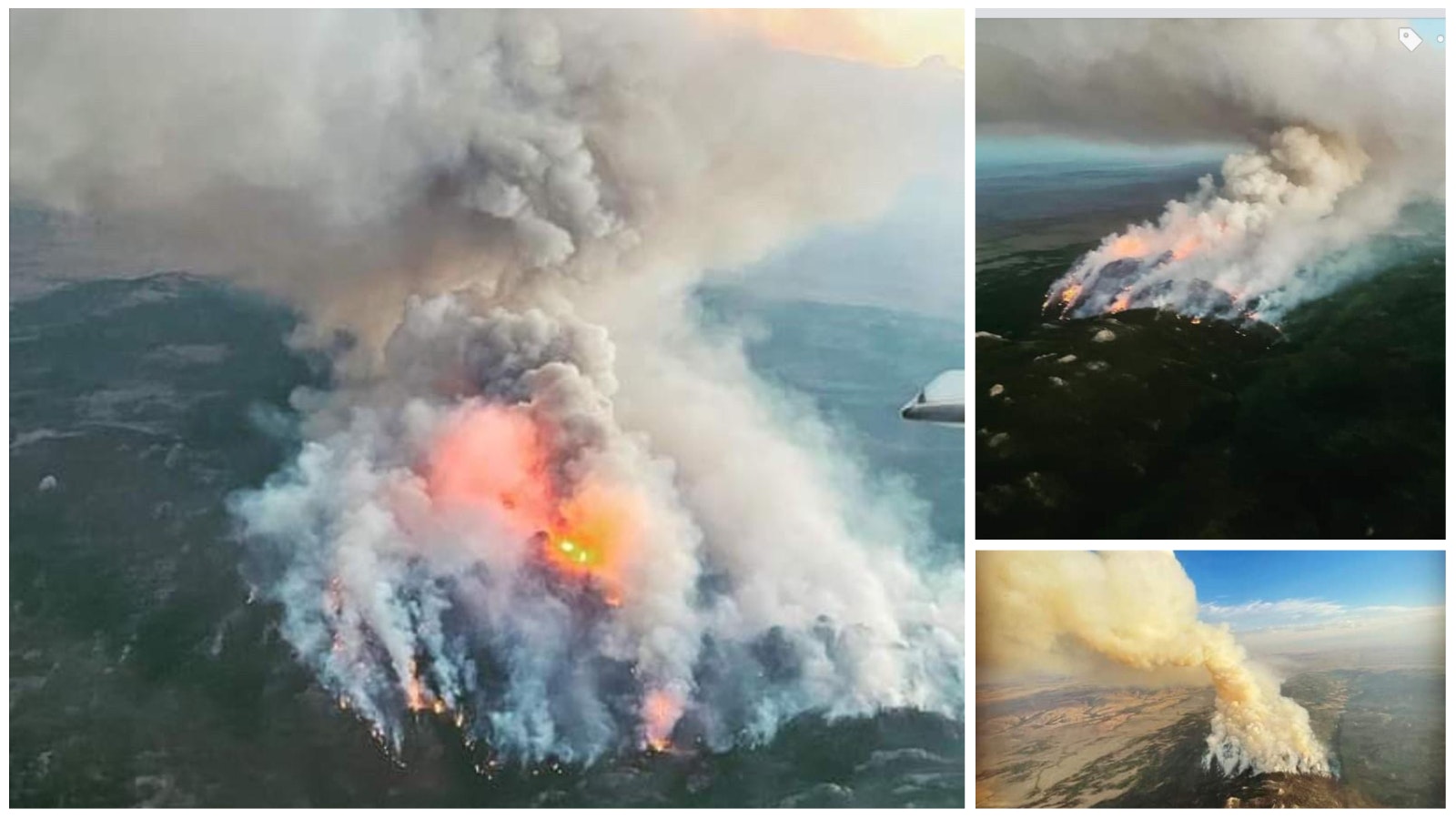 Collage Maker 26 Jul 2022 03 42 PM