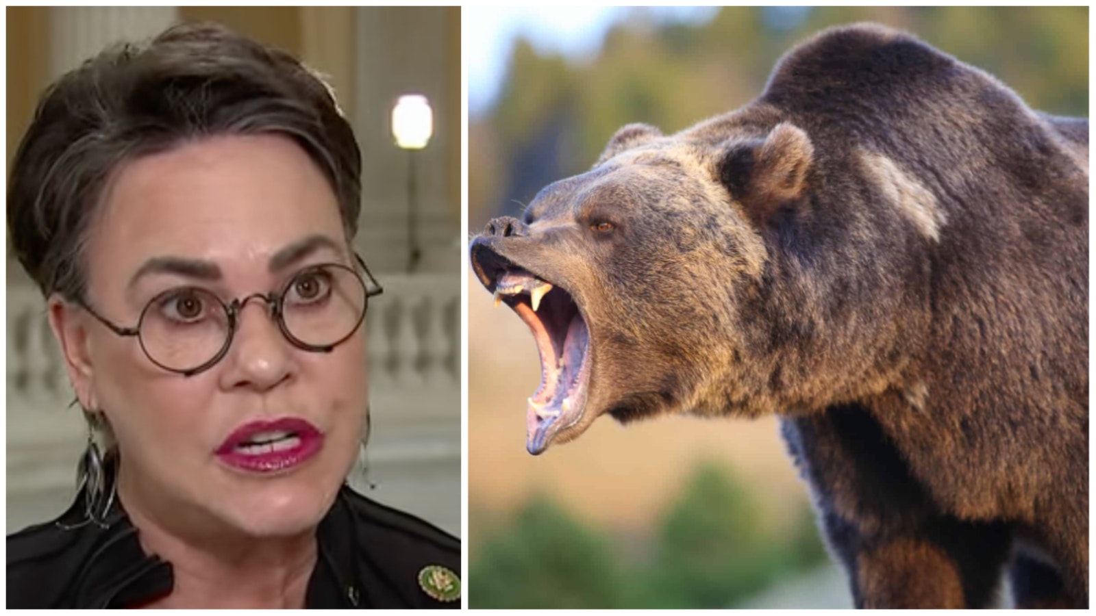 Collage Maker 28 Feb 2023 04 58 PM