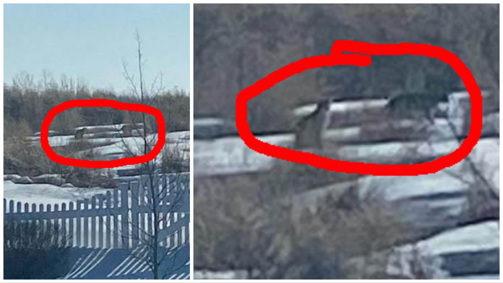 Collage Maker 31 Mar 2023 12 59 PM 4357