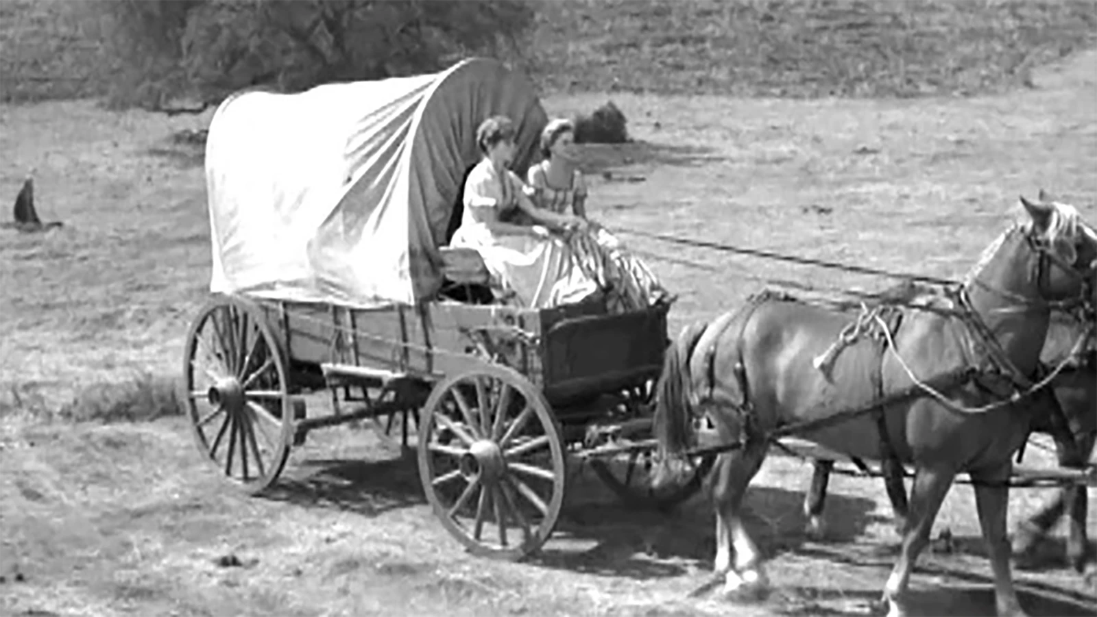 Tom Harrower spent a lifetime protecting cowboy collectibles and before selling his collection in 2011, had a large historic wagon and buggy collection. One of those wagons was from Gunsmoke and by having this story attached to his wagon, it increased its historical value over monetary.