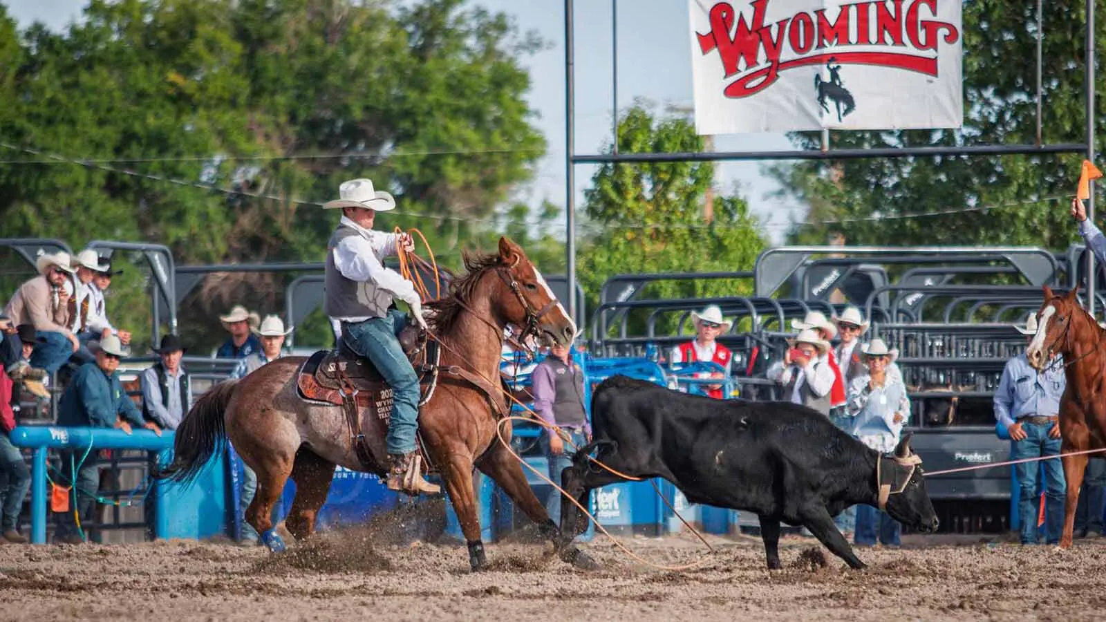 Wyoming Bull Rider Goes Into College National Rodeo Finals No. 1 In ...