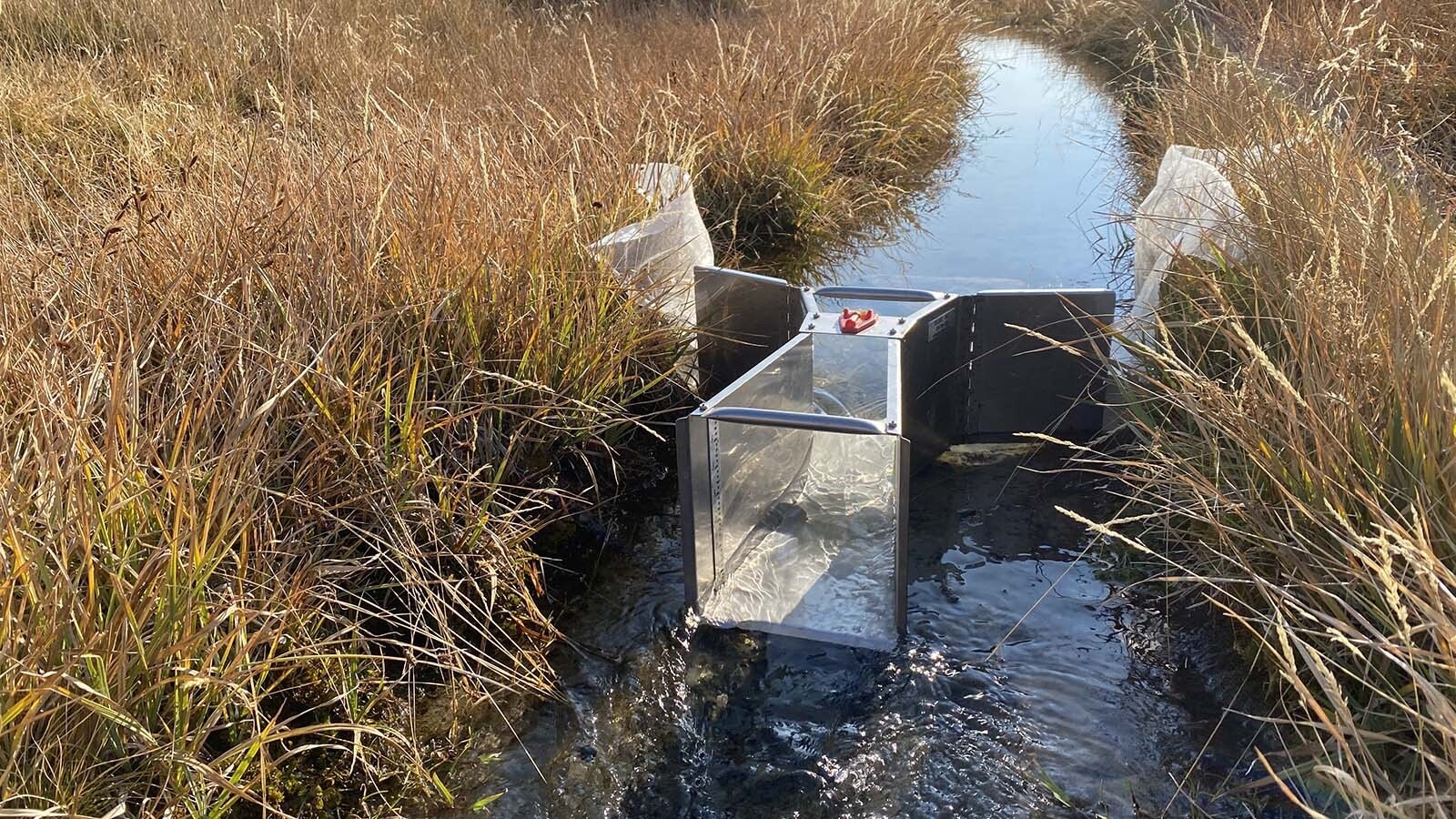Measuring stream flow in Wyoming.