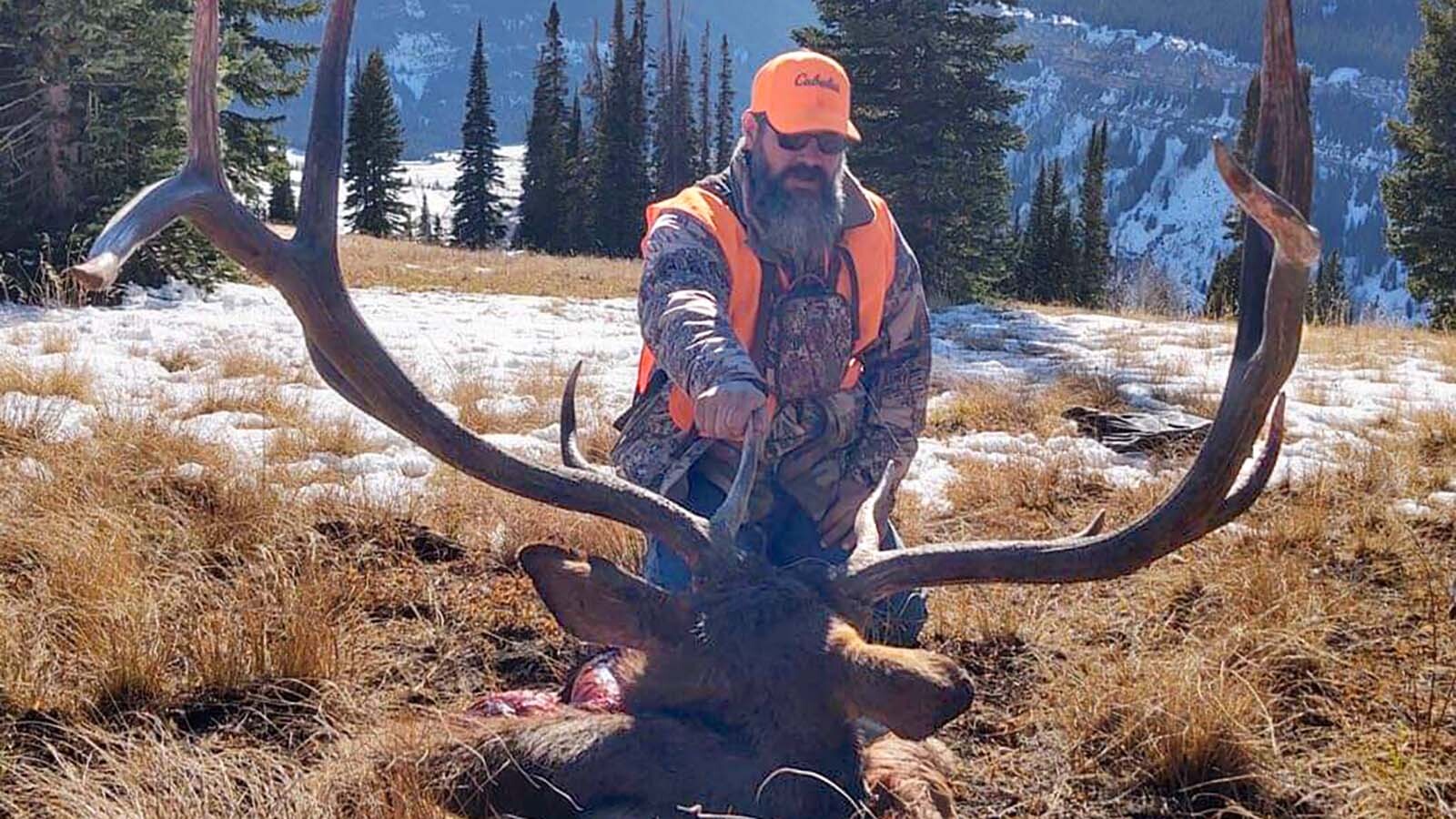 Colorado Eliminates OverTheCounter Archery Elk Tags For NonResidents