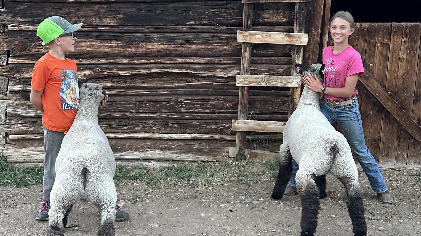 Carly Wood, 12, and her 10-year-old brother, who goes by his nickname “Critter,” raise 4-H sheep on the family’s property in Grand County, Colorado.