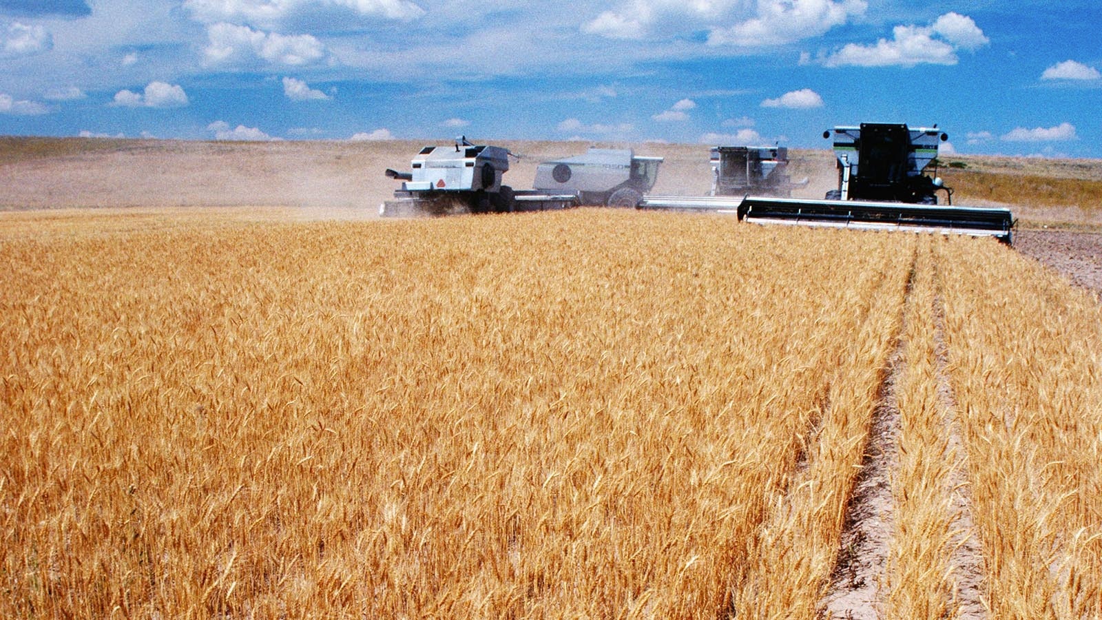 President Donald Trump says he’ll cut environmental rules he says make tractors too costly and hard to fix. He backs new EPA changes that give farmers more time before diesel equipment is slowed or shut down. Here, combines work a wheat field near Carpenter, Wyoming, in a file photo.