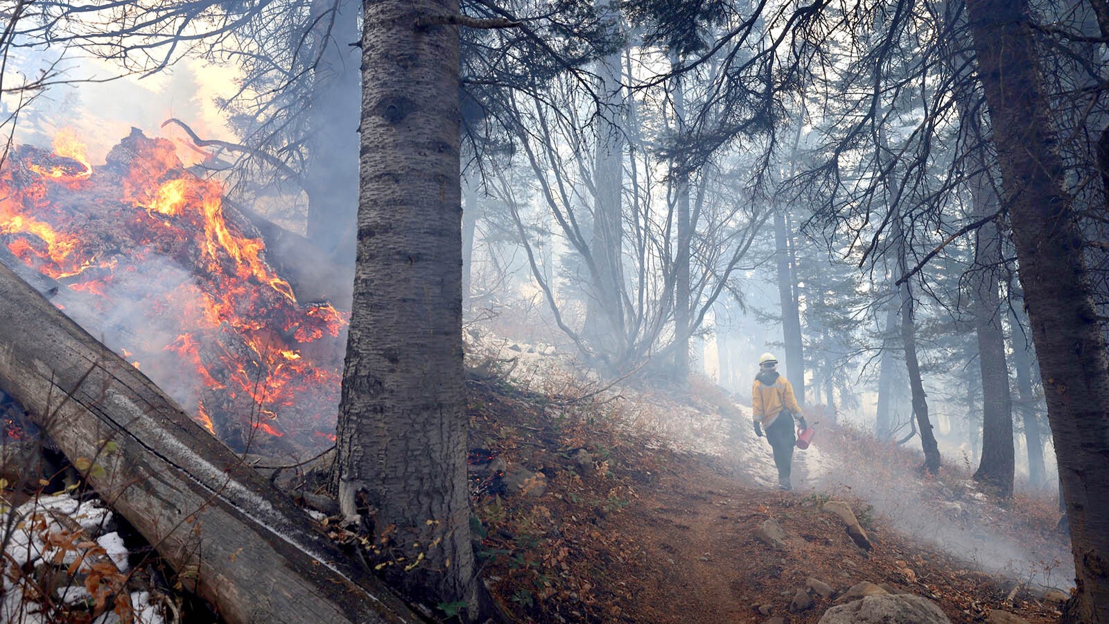 Now that the Pack Trail Fire is 95% confined, crews are busy doing controlled burns in Bridger-Teton National Forest in northwest Wyoming.