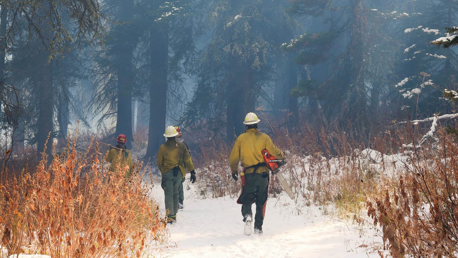 Now that the Pack Trail Fire is 95% confined, crews are busy doing controlled burns in Bridger-Teton National Forest in northwest Wyoming.