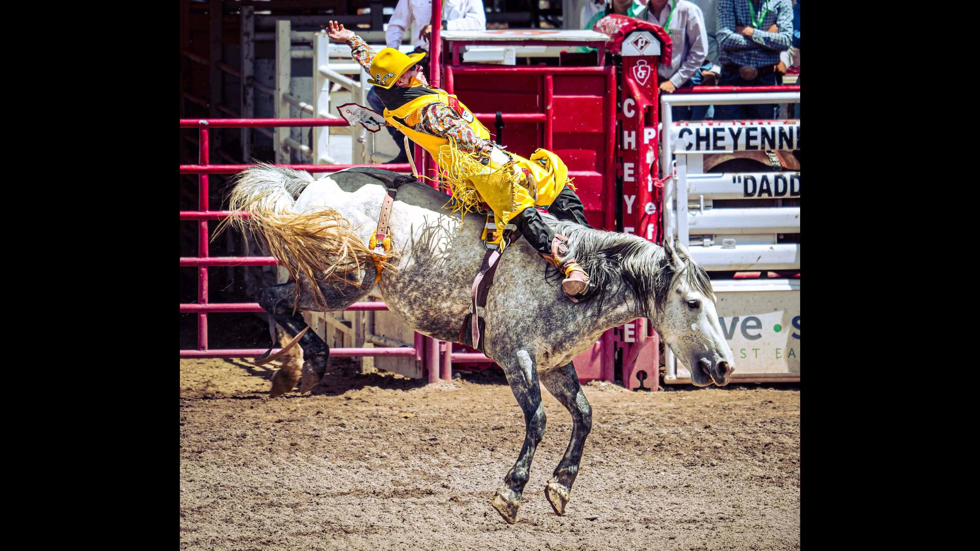Gillette College bareback rider Cooper Filipek, 23, was a rising rodeo star when his career was abruptly interrupted when a horse rolled over him and broke his back during a bareback ride in August.