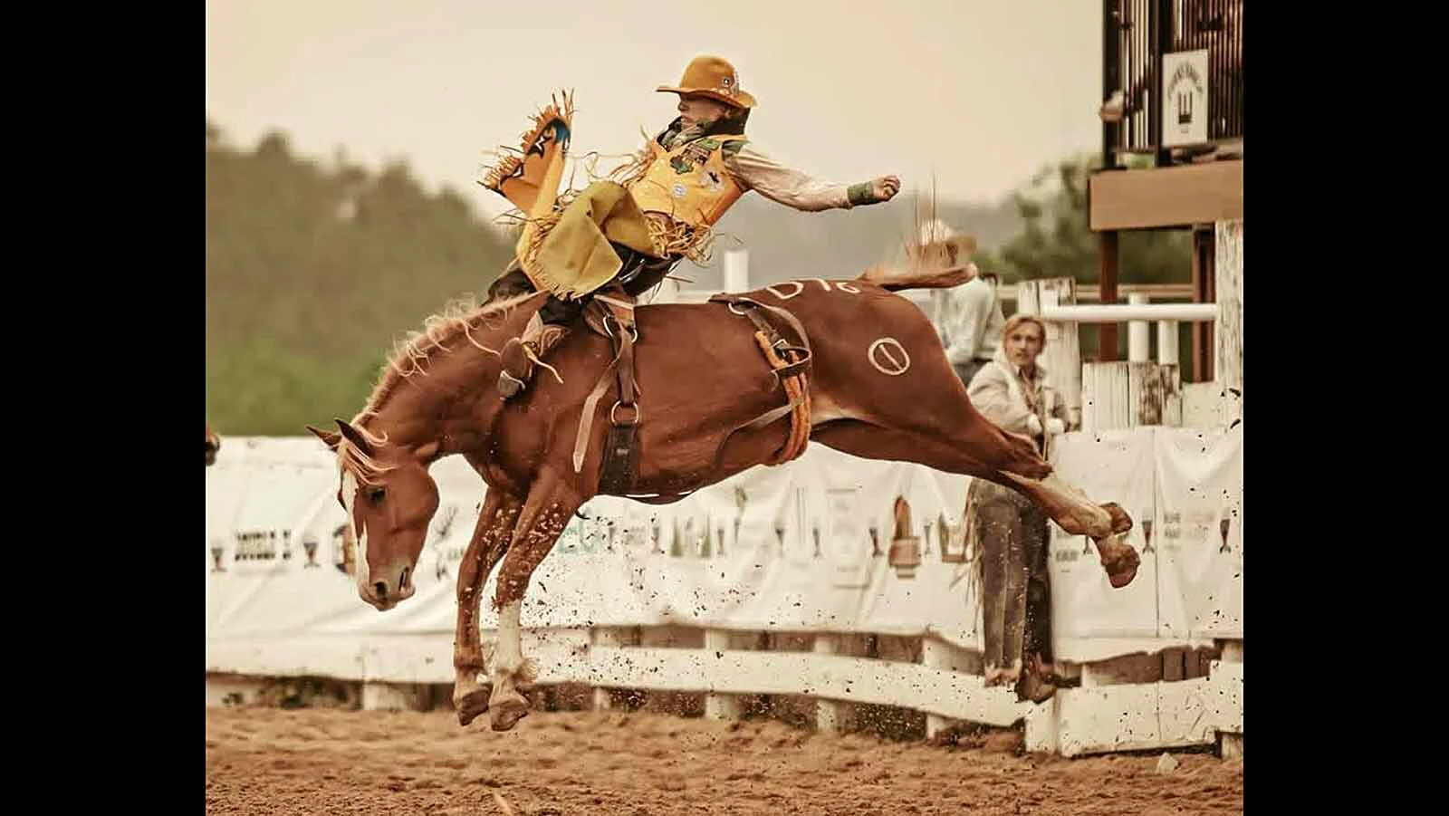 Gillette College bareback rider Cooper Filipek, 23, was a rising rodeo star when his career was abruptly interrupted when a horse rolled over him and broke his back during a bareback ride in August.