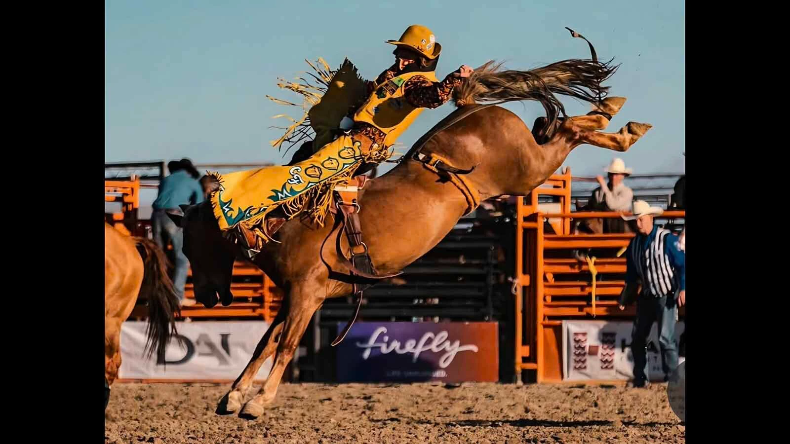 Gillette College bareback rider Cooper Filipek, 23, was a rising rodeo star when his career was abruptly interrupted when a horse rolled over him and broke his back during a bareback ride in August.