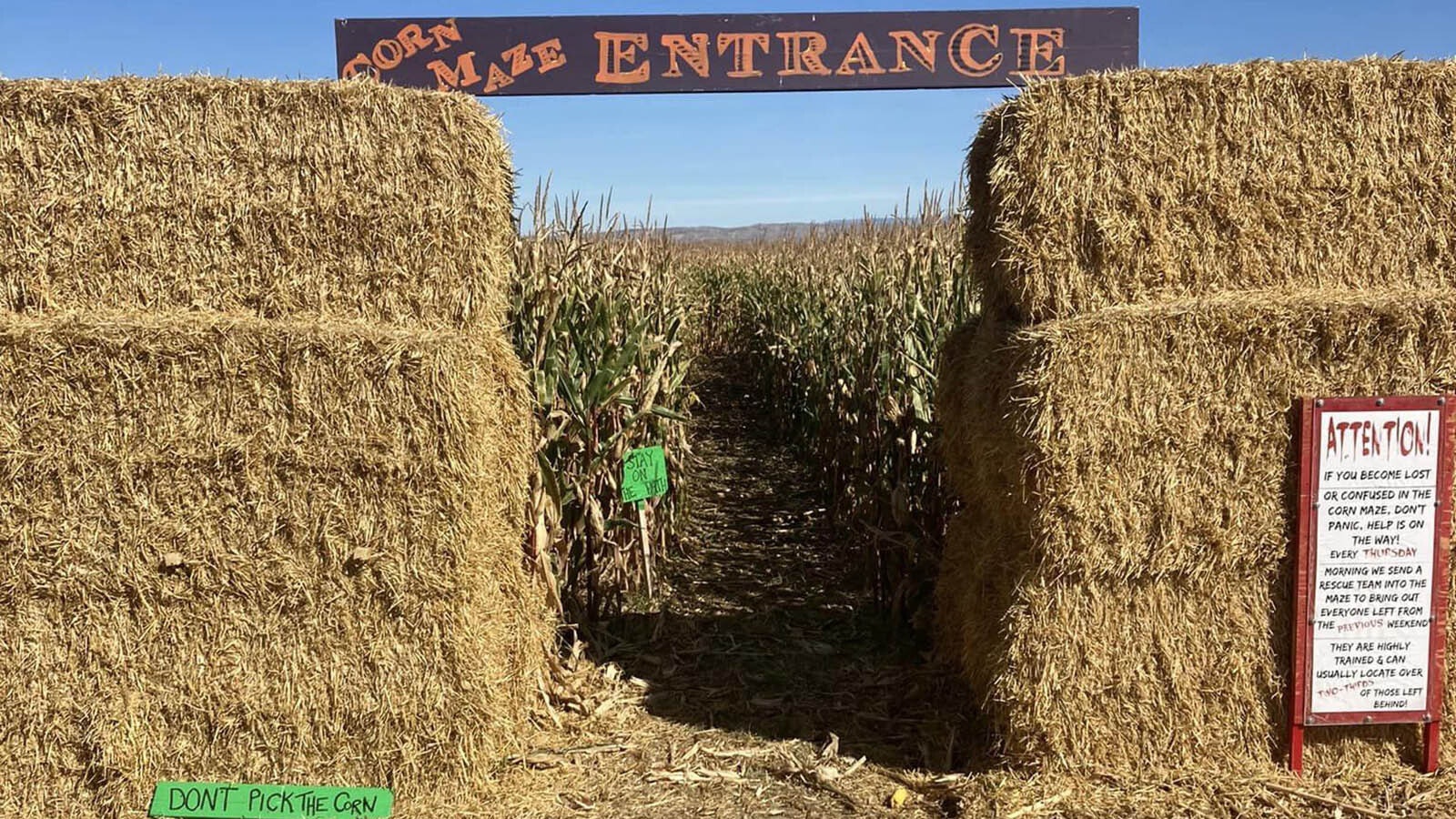 The entrance to the 15-acre corn maze at Gallagher Corn Maze and Pumpkin Patch in Clark, Wyoming.