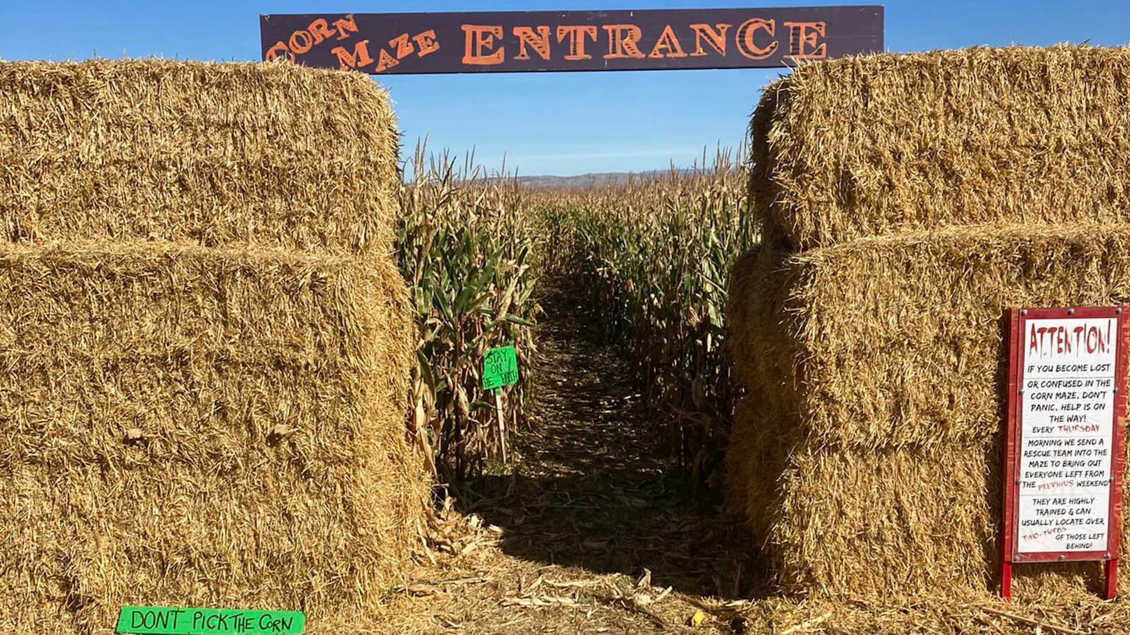 Corn Patch Electric Fence To Keep Grizzlies Out Installed At Popular Wyoming Corn ...