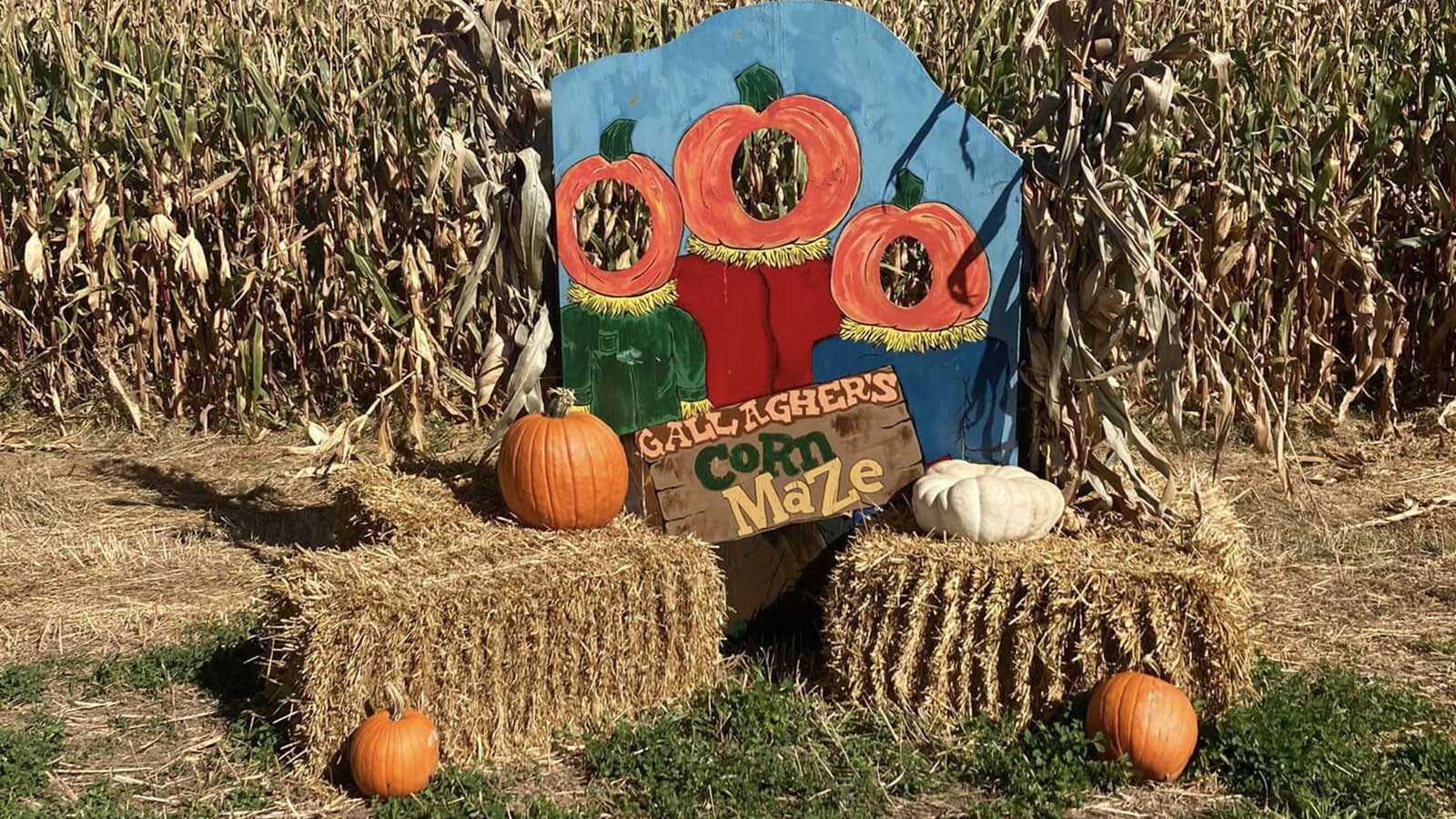 A special photo prop gives visitors to Gallagher Corn Maze and Pumpkin Patch an opportunity to create a memory.