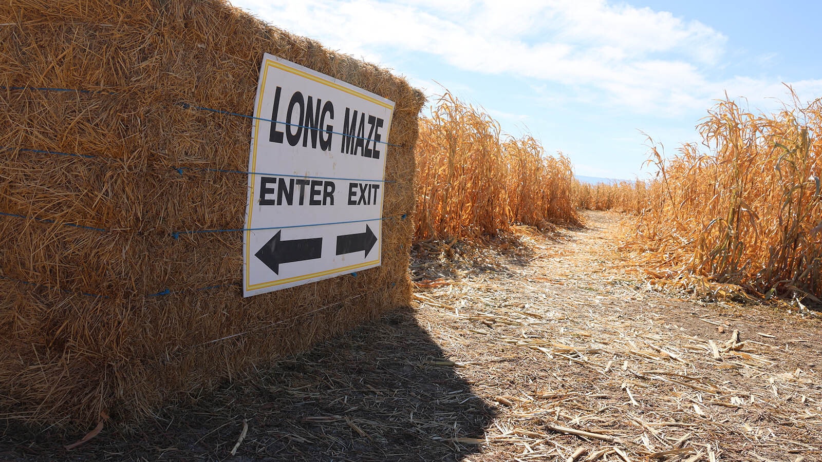 The maze entrance at the Green Acres Corn Maze in Casper. Fertilizer and lots of water from the Casper Alcova Irrigation District are needed to get the corn to the desired height each year.