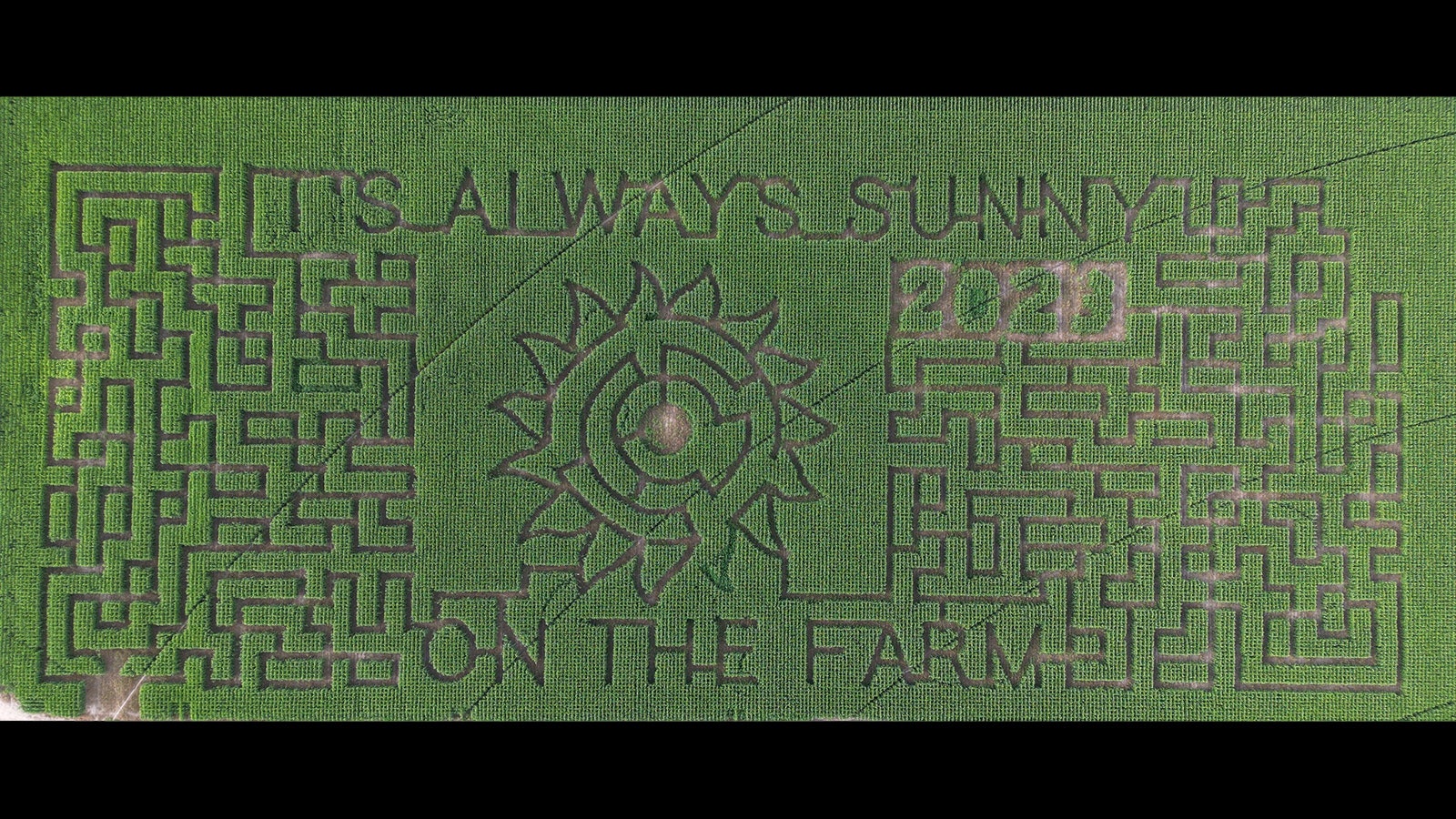 This year's layout for the elaborate corn maze at Ellis' Harvest Home.