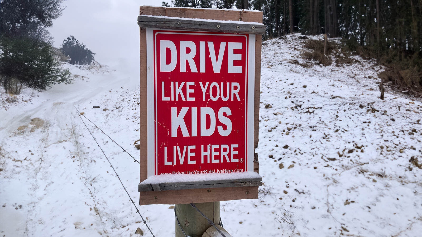 The sign erected by the Wolfskills to protect their grandchildren does nothing to dissuade speeding traffic through his property.