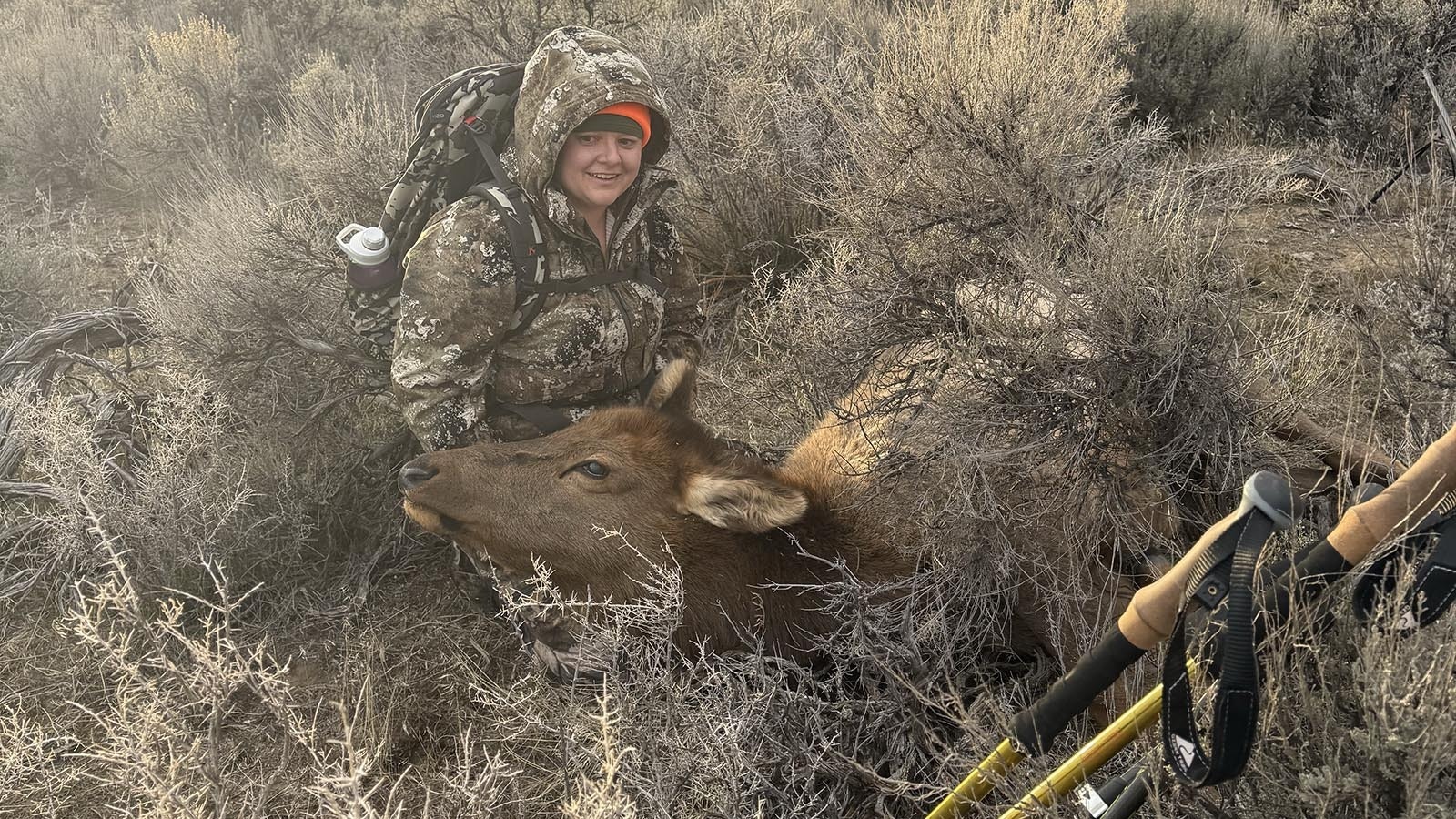 Kacie Fischer of Casper shot this late-season cow elk on Black Friday. It was her first big game animal ever.