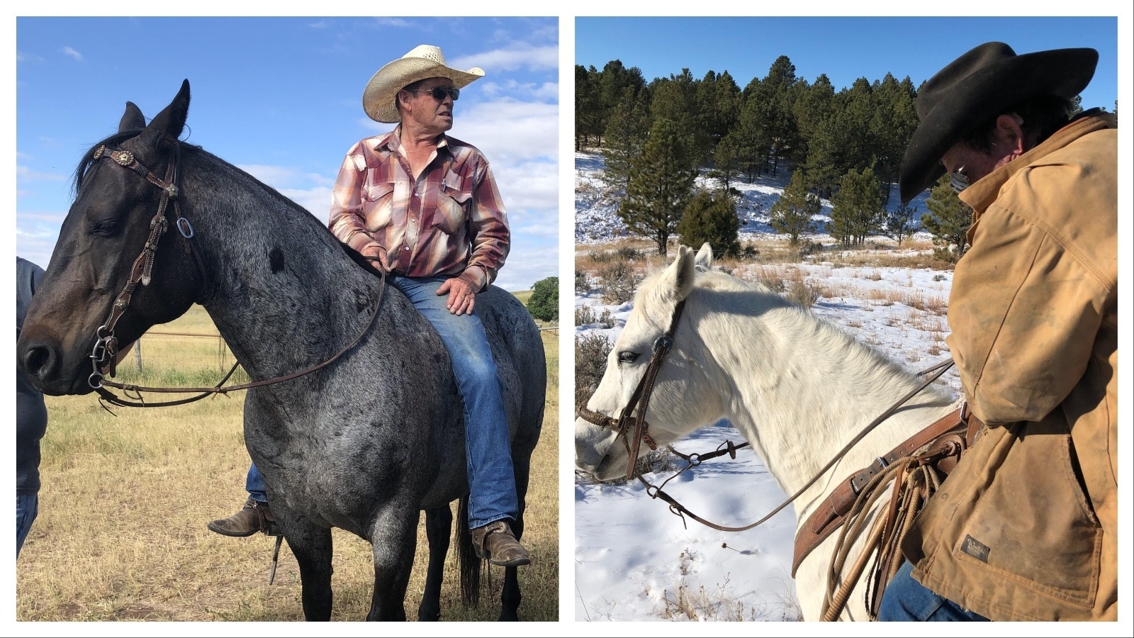 Steve Bossman, recent inductee to the 2024 Wyoming Cowboy Hall of Fame. He shared a story of a horse wreck that illustrated the tough knocks a cowboy takes in this line of work.