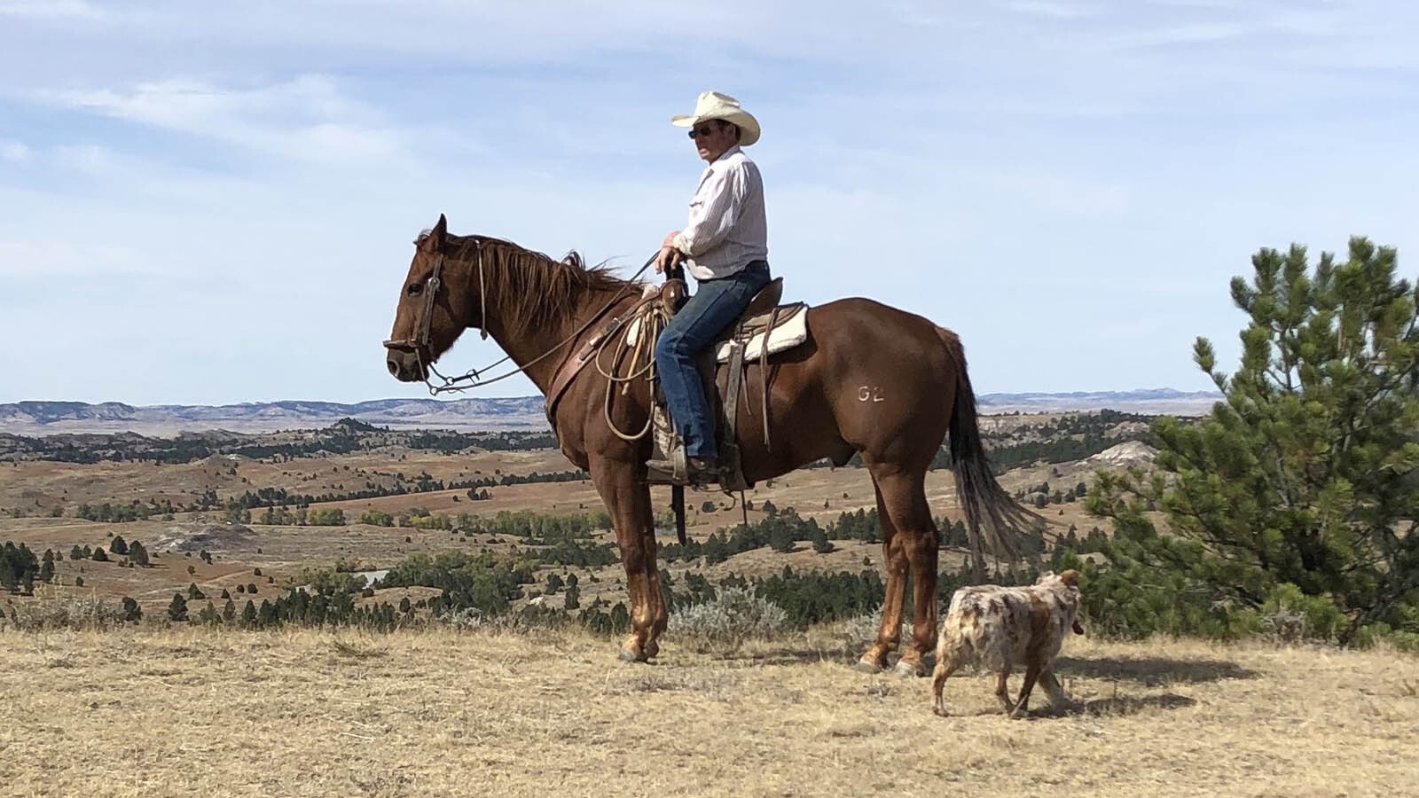 Steve Bossman, recent inductee to the 2024 Wyoming Cowboy Hall of Fame. He shared a story of a horse wreck that illustrated the tough knocks a cowboy takes in this line of work.